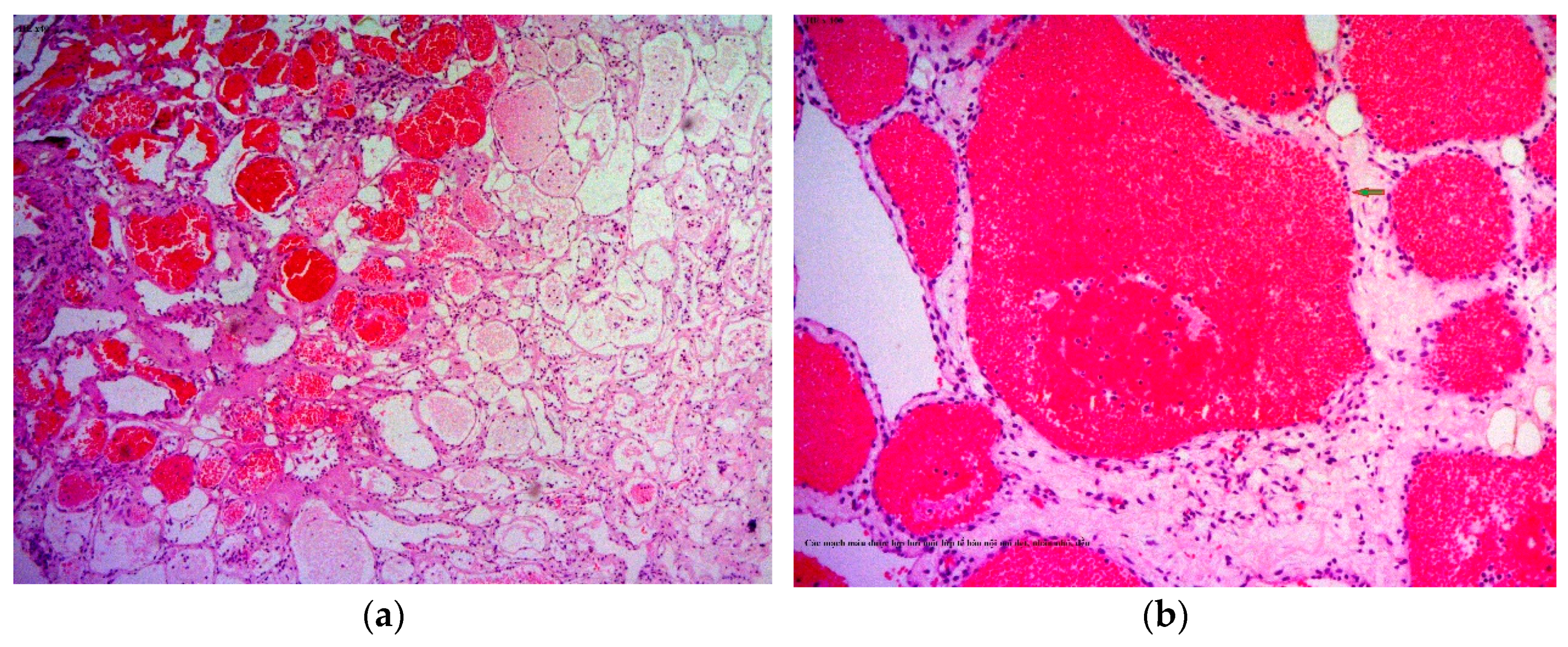 Reports 03 00016 g002 Reports 03 00016 g002