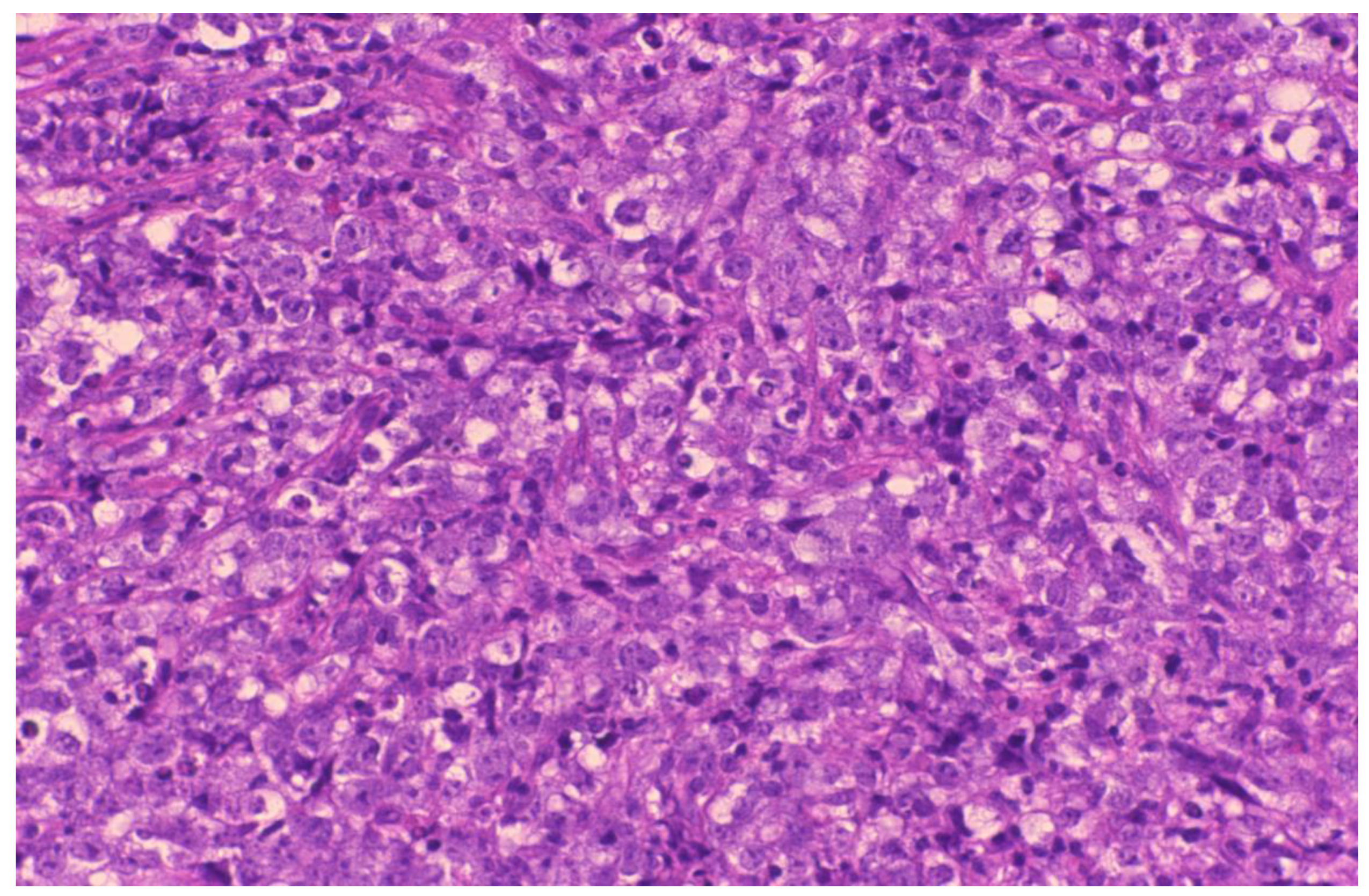 Reports 03 00017 g003