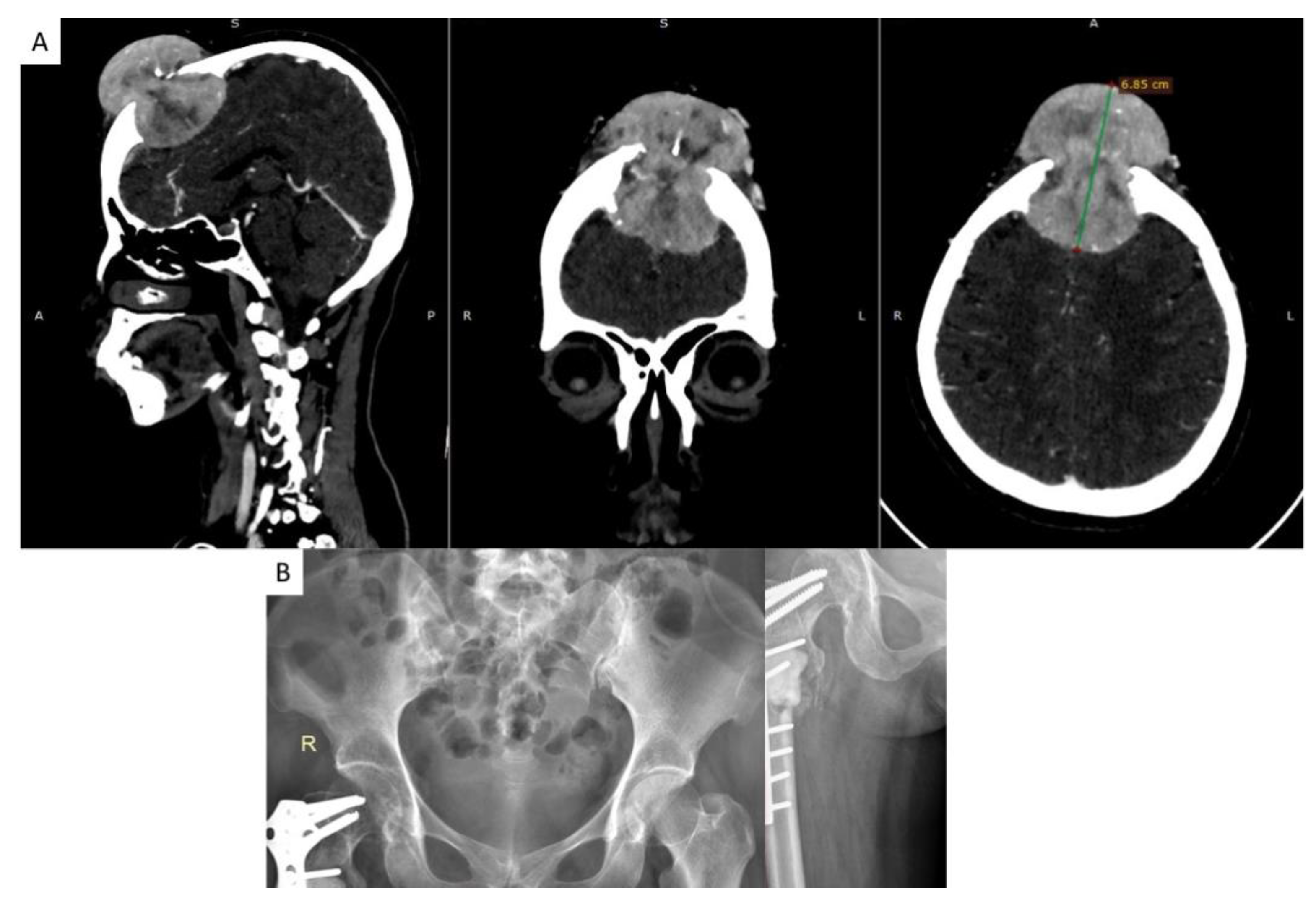 Reports 03 00027 g002