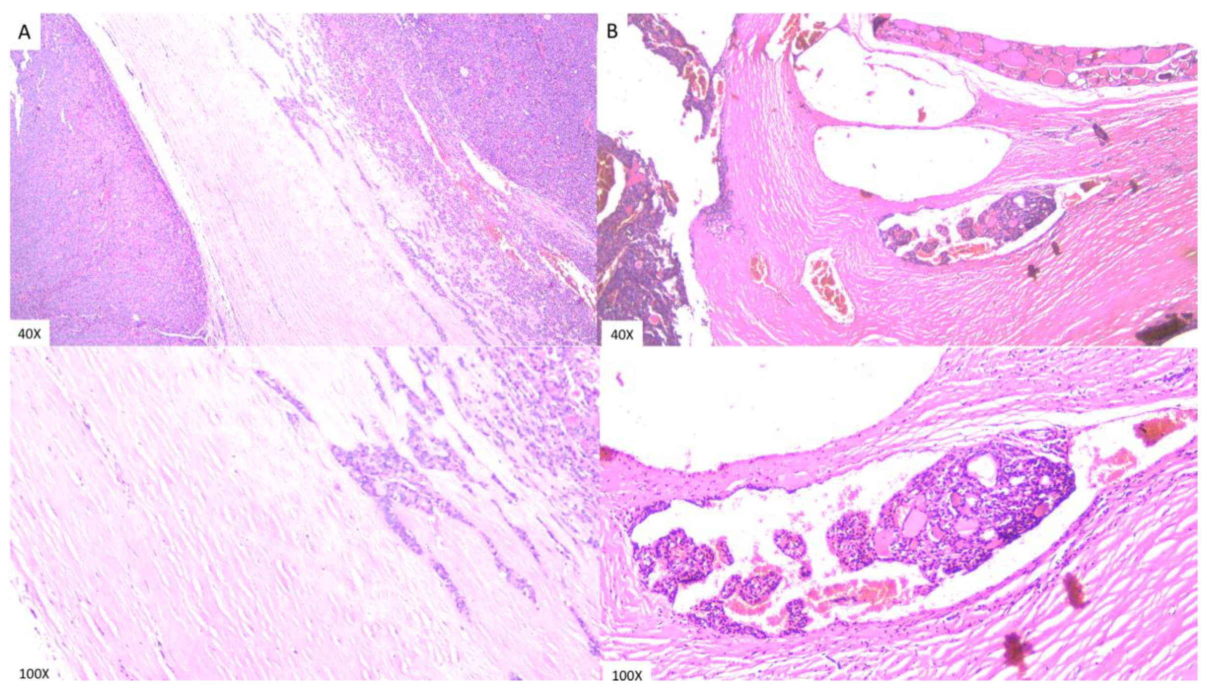 Reports 03 00027 g003