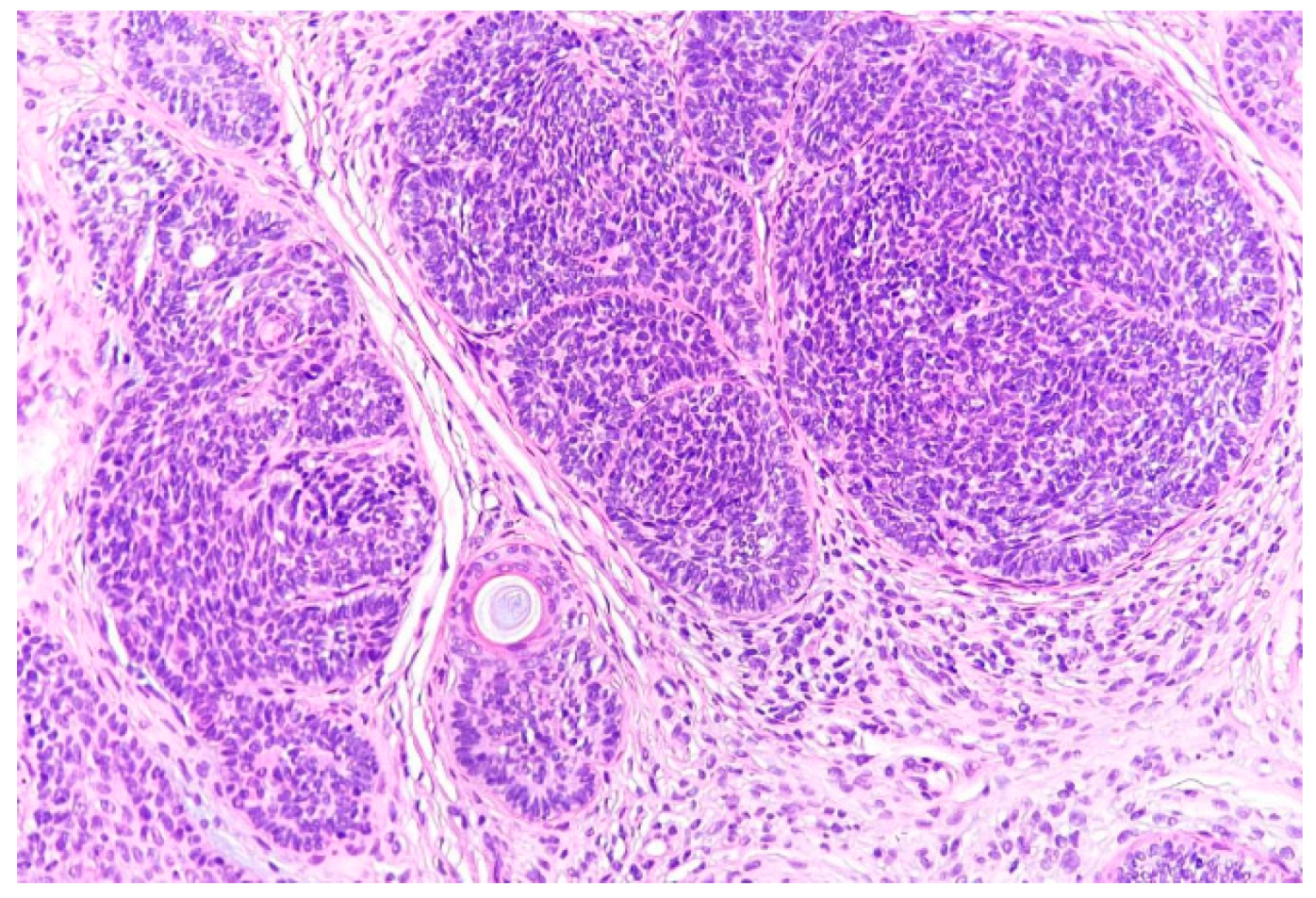 Reports 03 00028 g002 Reports 03 00028 g002