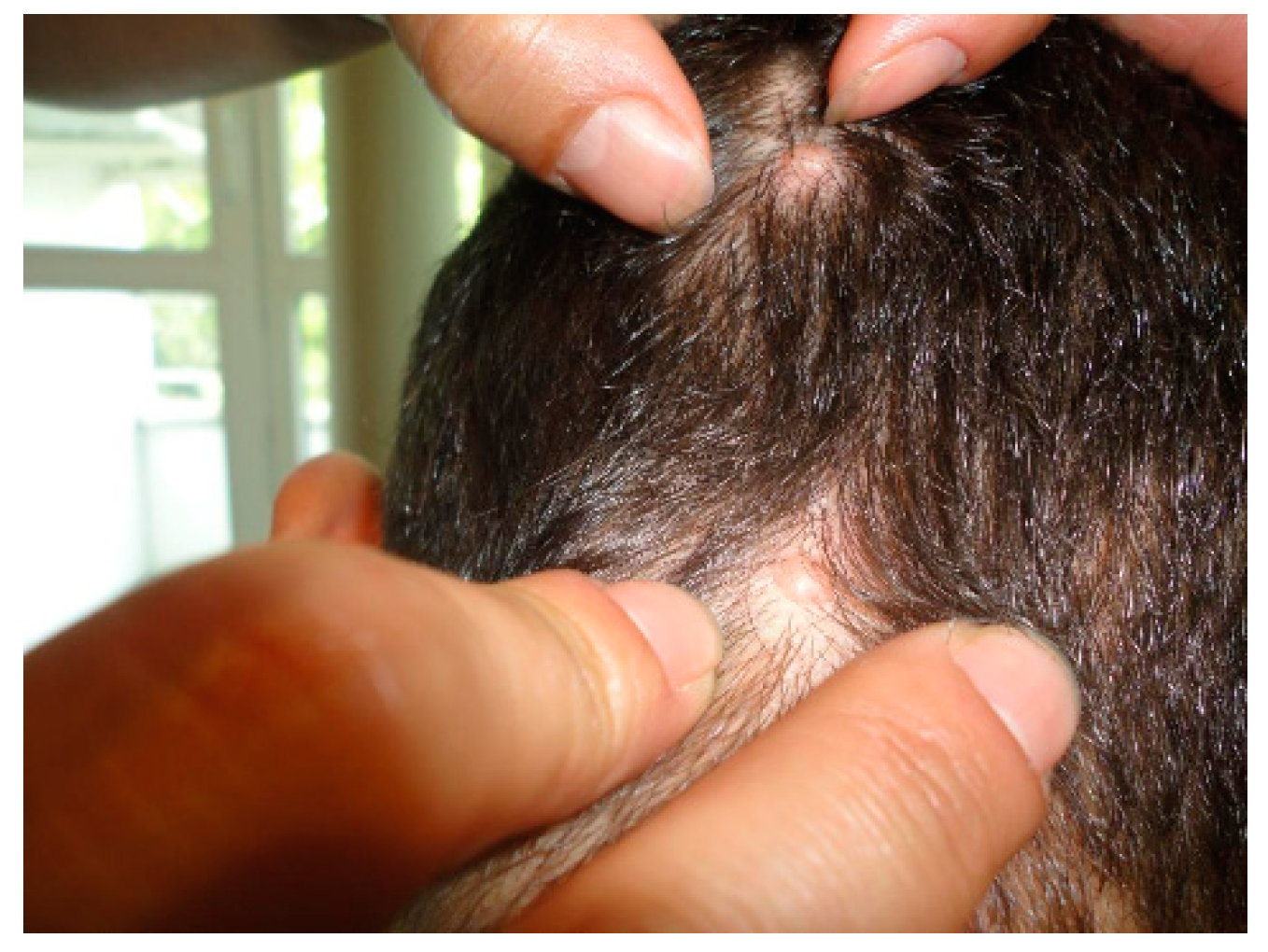 Reports 03 00028 g003 Reports 03 00028 g003