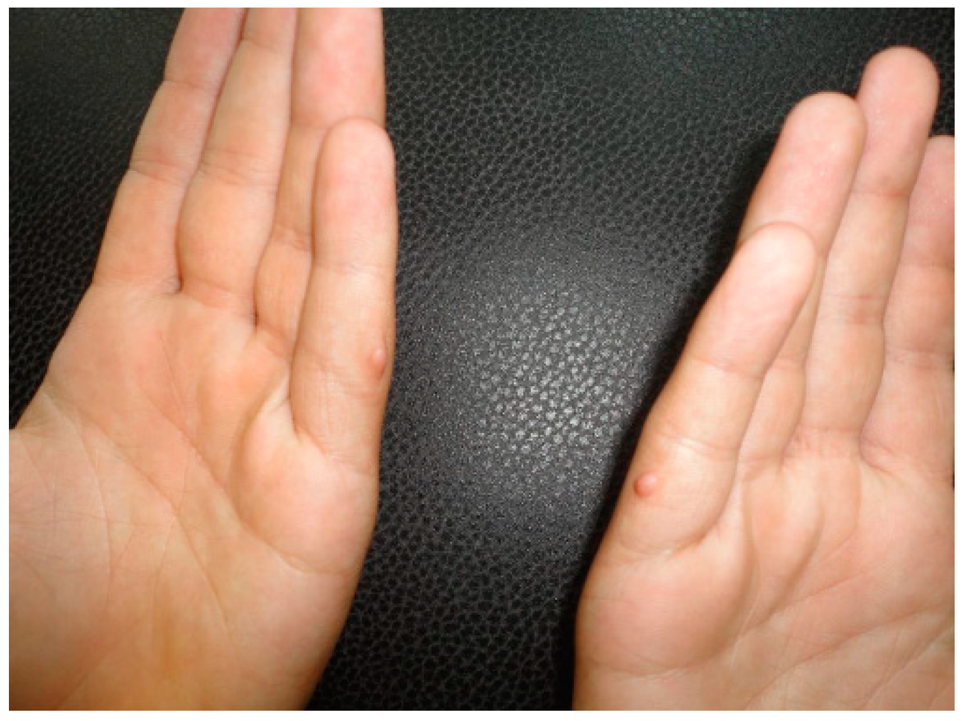 Reports 03 00028 g004 Reports 03 00028 g004