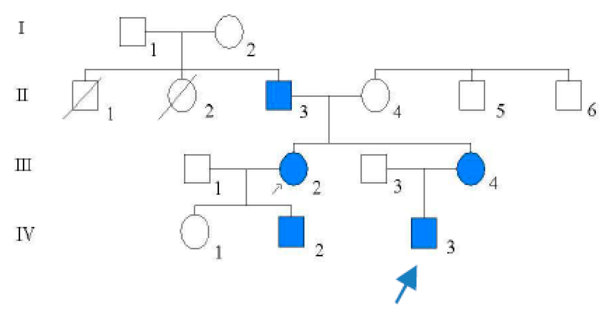 Reports 03 00028 g005 Reports 03 00028 g005