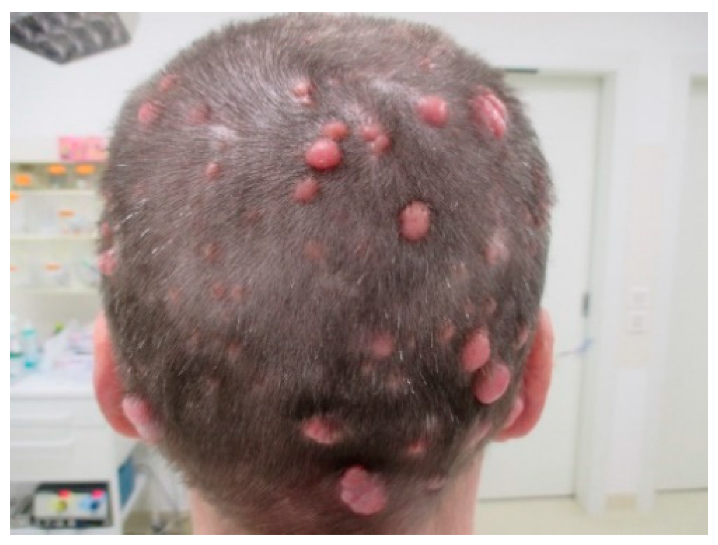 Reports 03 00028 g007 Reports 03 00028 g007