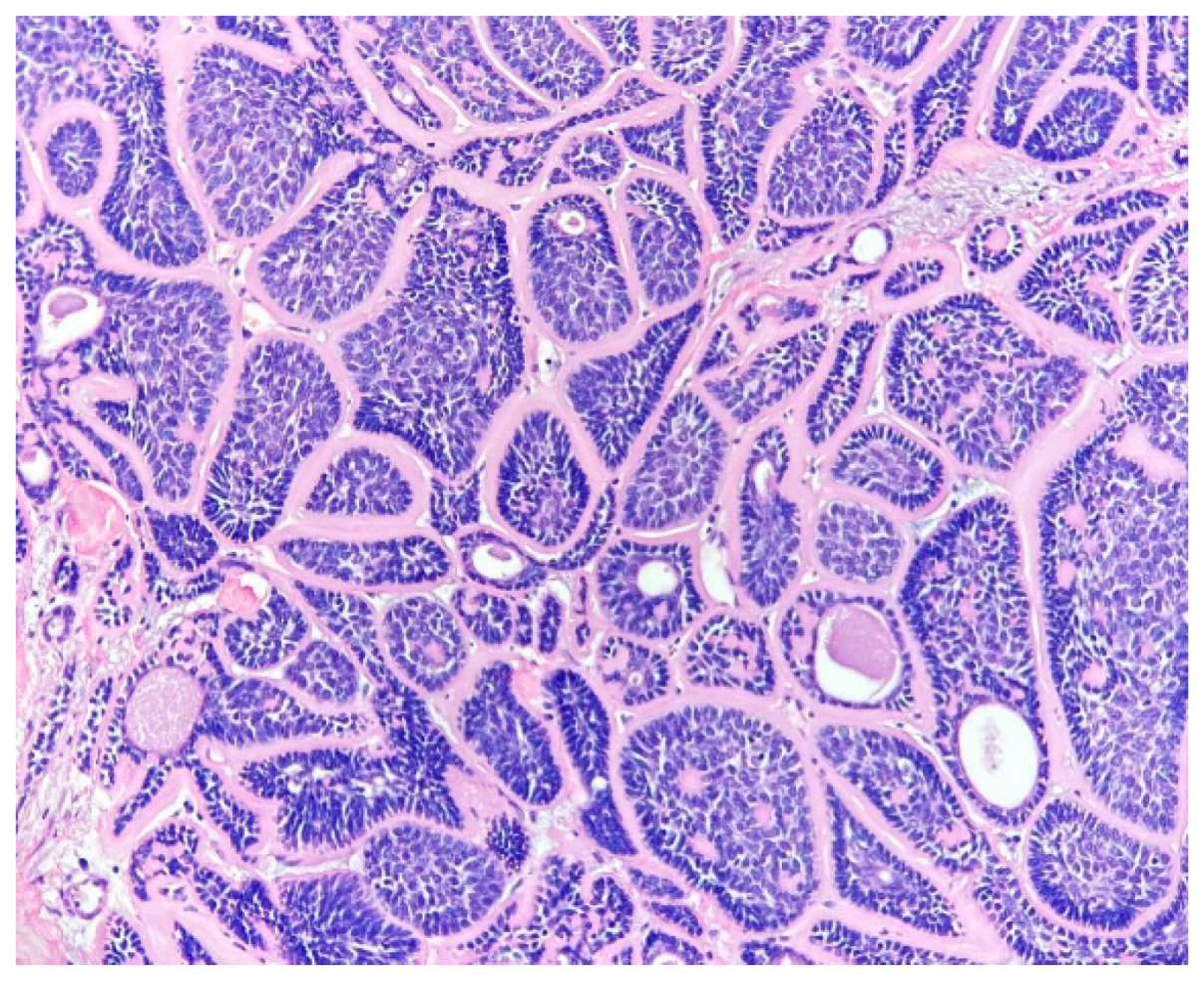 Reports 03 00028 g010 Reports 03 00028 g010