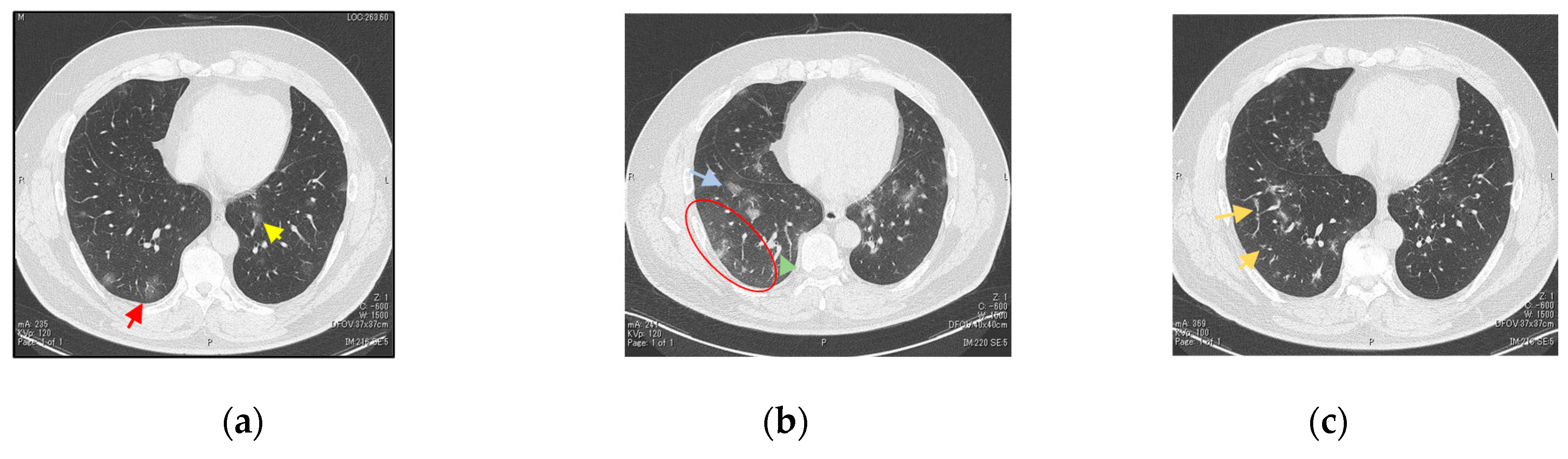 Reports 03 00029 g001 Reports 03 00029 g001
