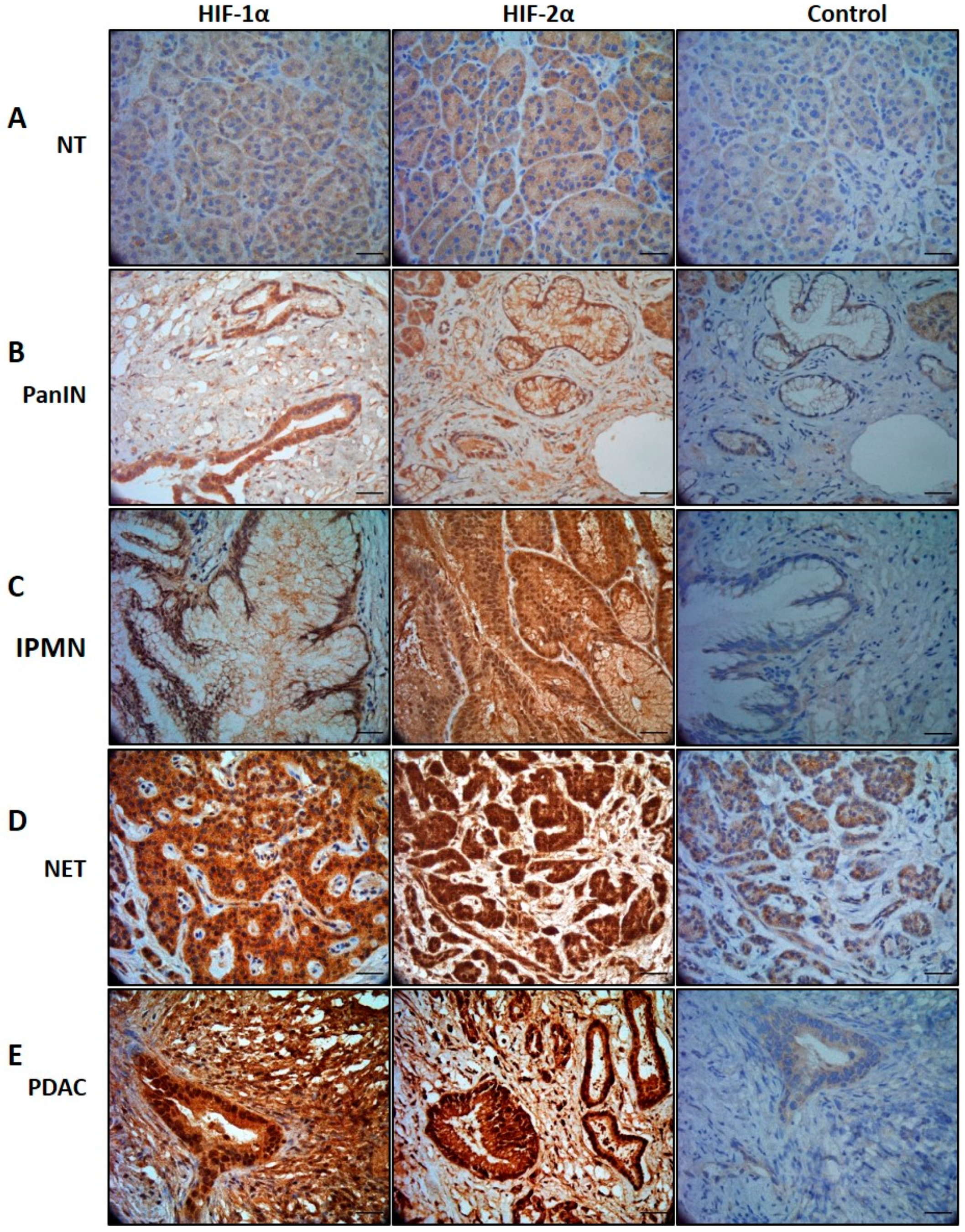 Reports 03 00030 g001