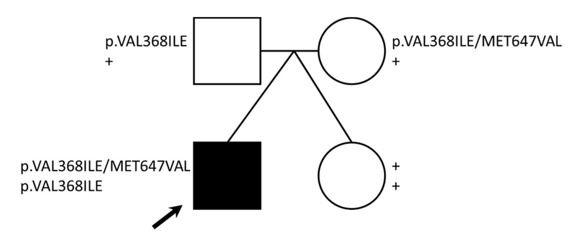 Reports 03 00031 g002