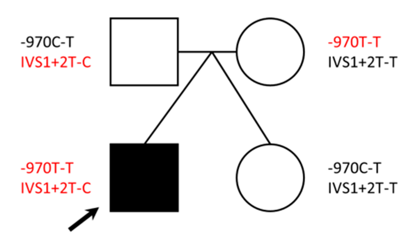 Reports 03 00031 g003