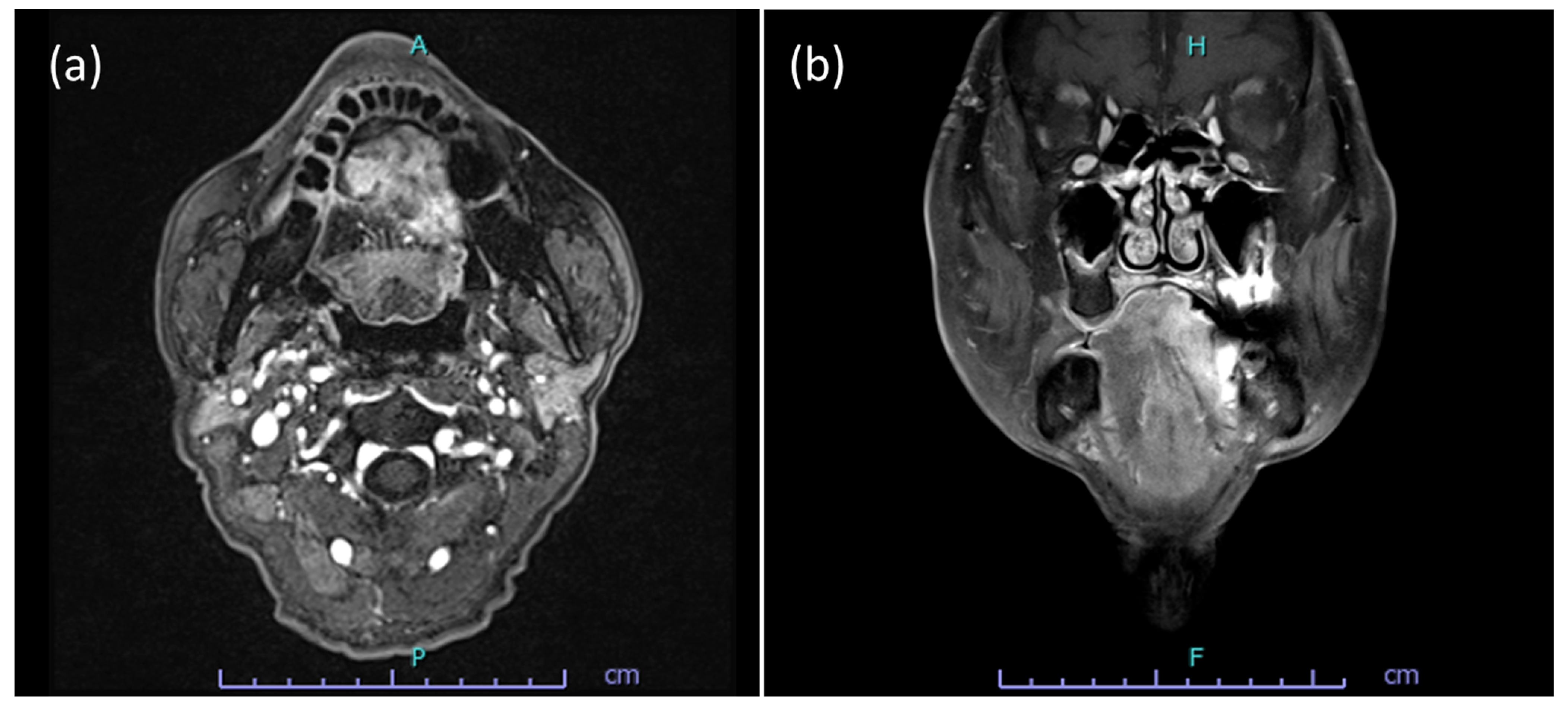 Reports 04 00005 g002