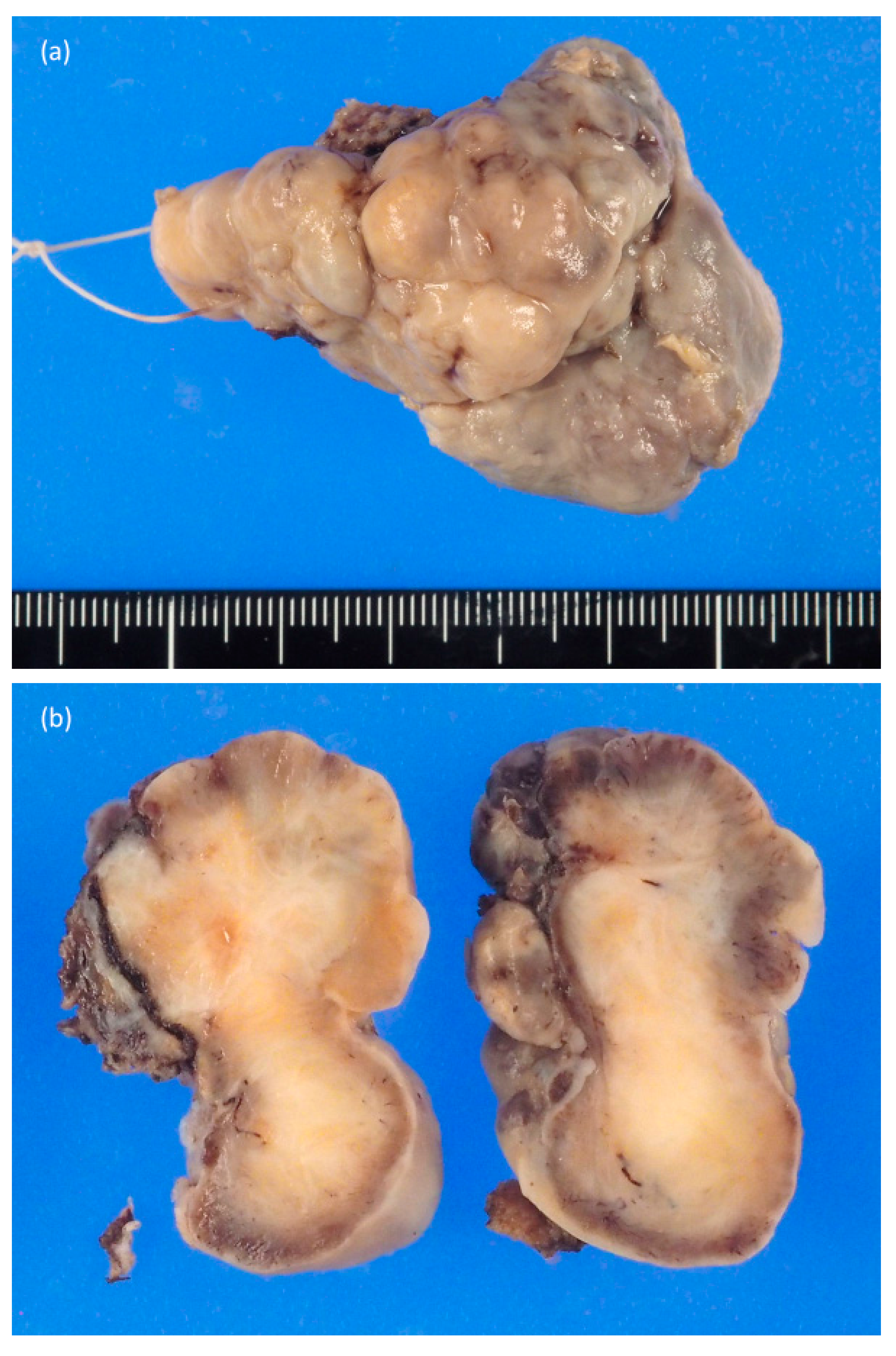 Reports 04 00005 g003