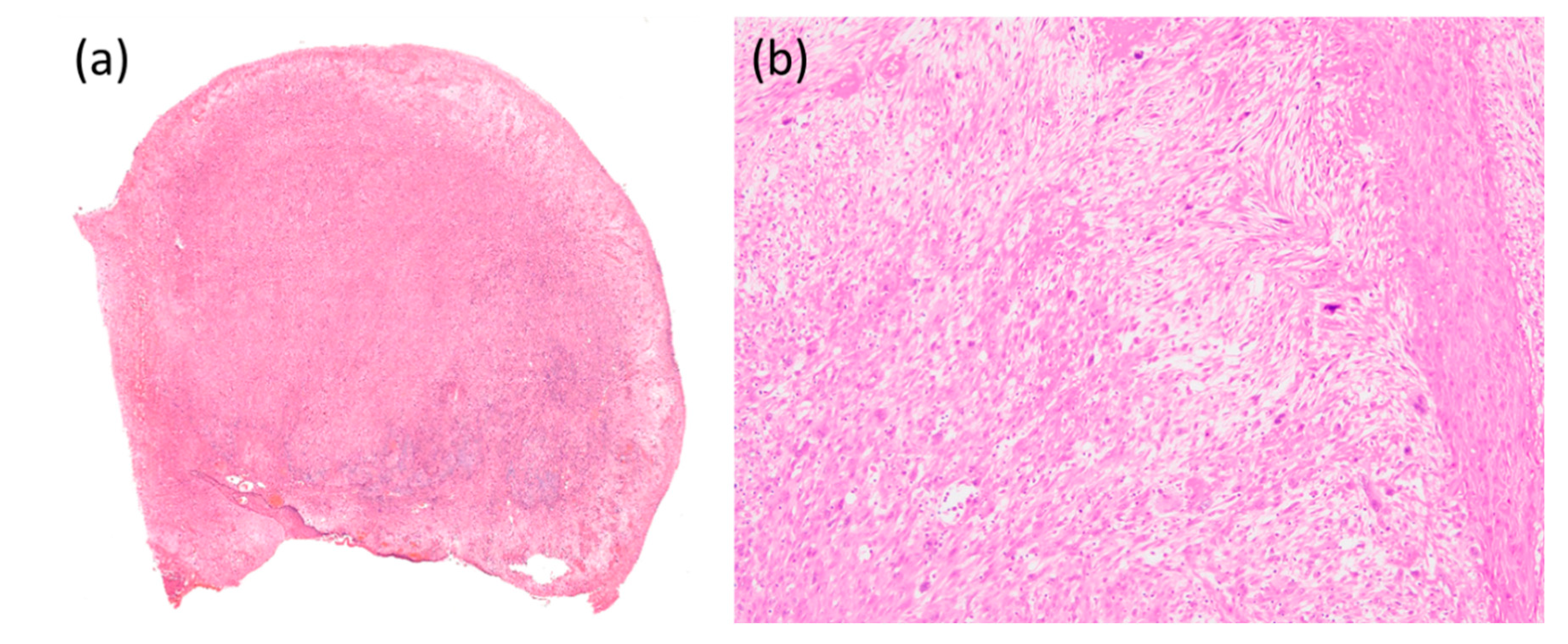 Reports 04 00005 g004