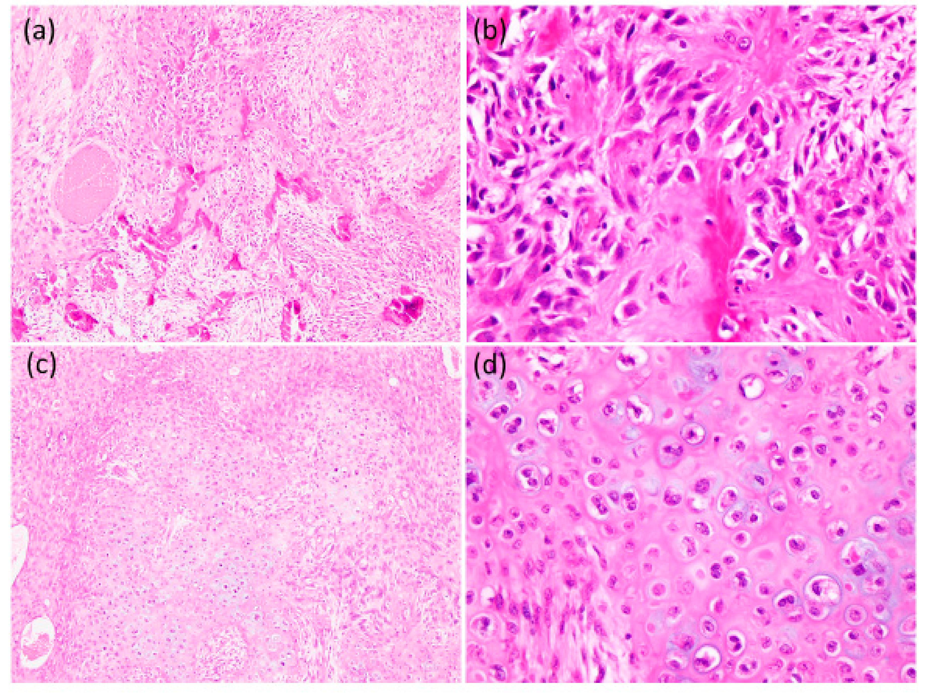 Reports 04 00005 g006