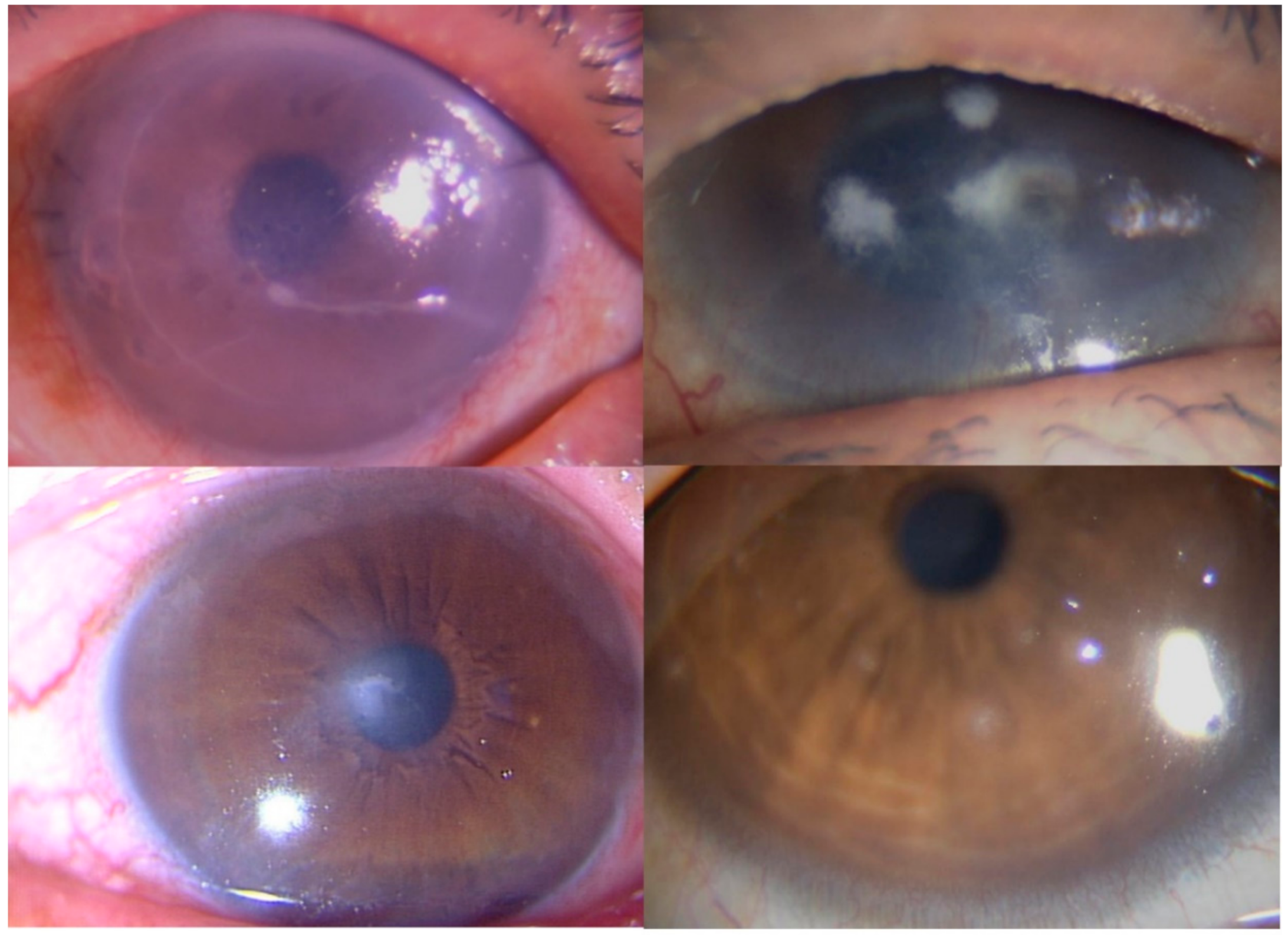 Reports 04 00006 g001 Reports 04 00006 g001