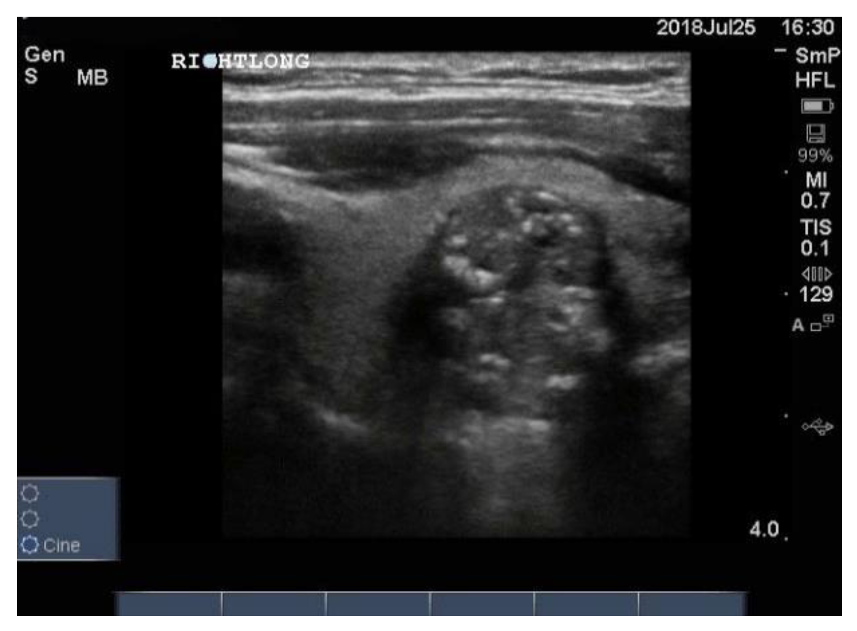 Reports 04 00008 g012