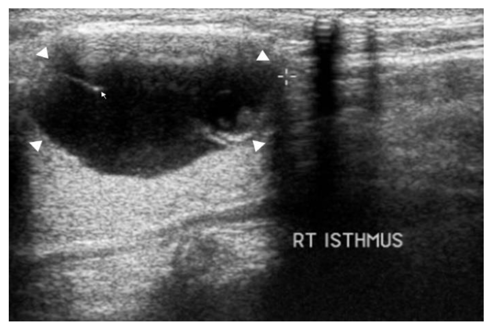 Reports 04 00008 g014