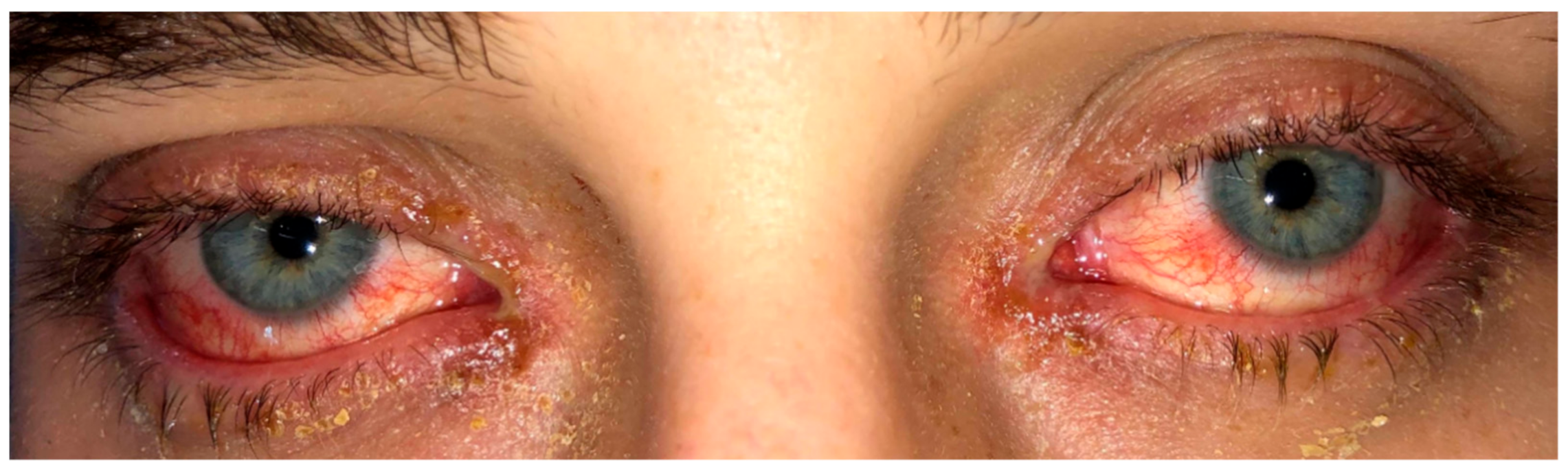 Reports 04 00011 g002