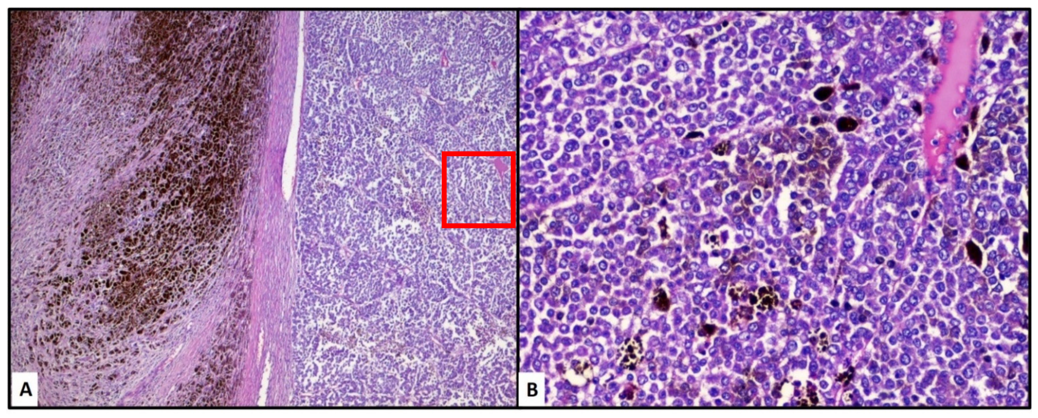 Reports 04 00013 g002