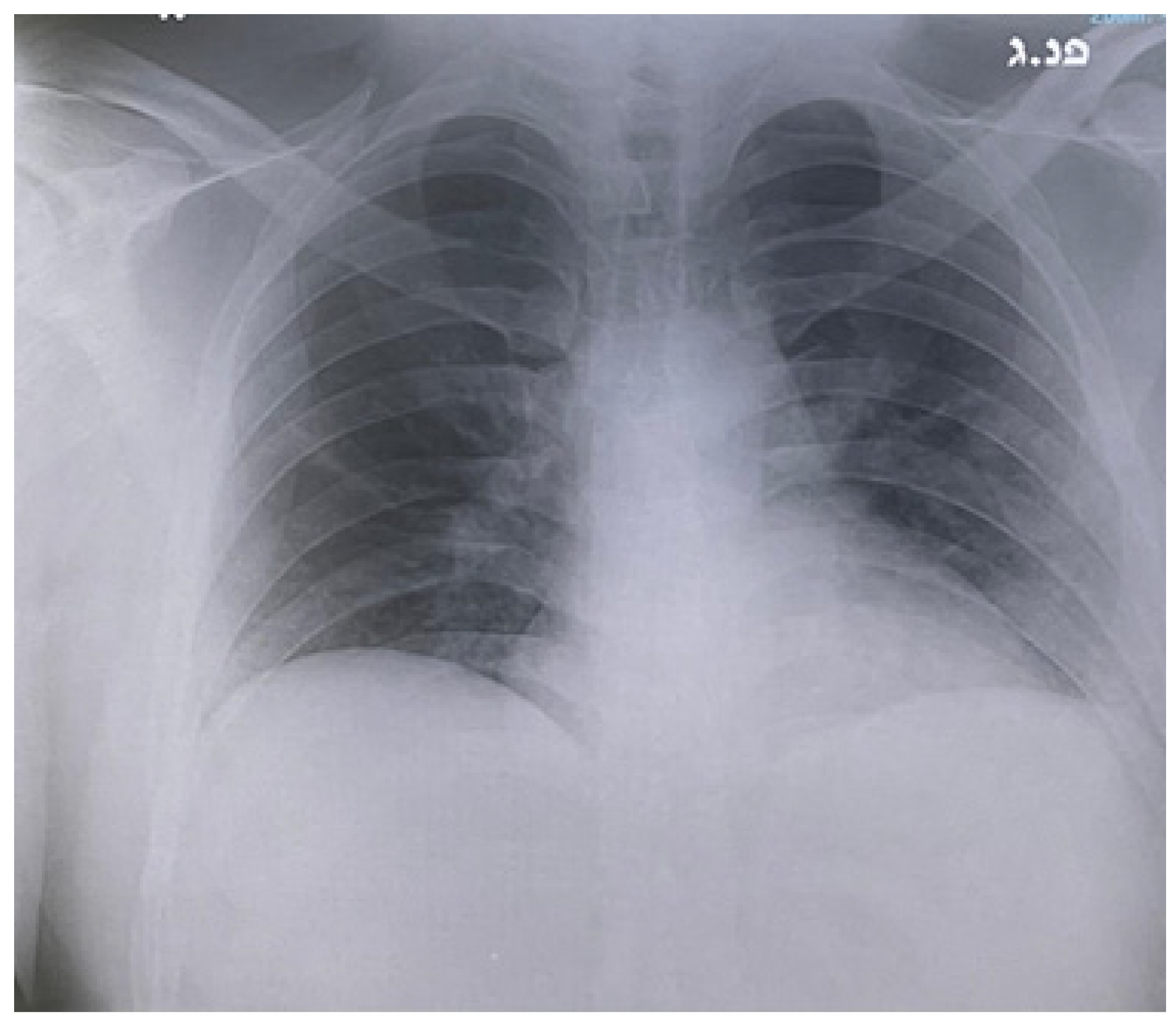 Reports 04 00015 g002