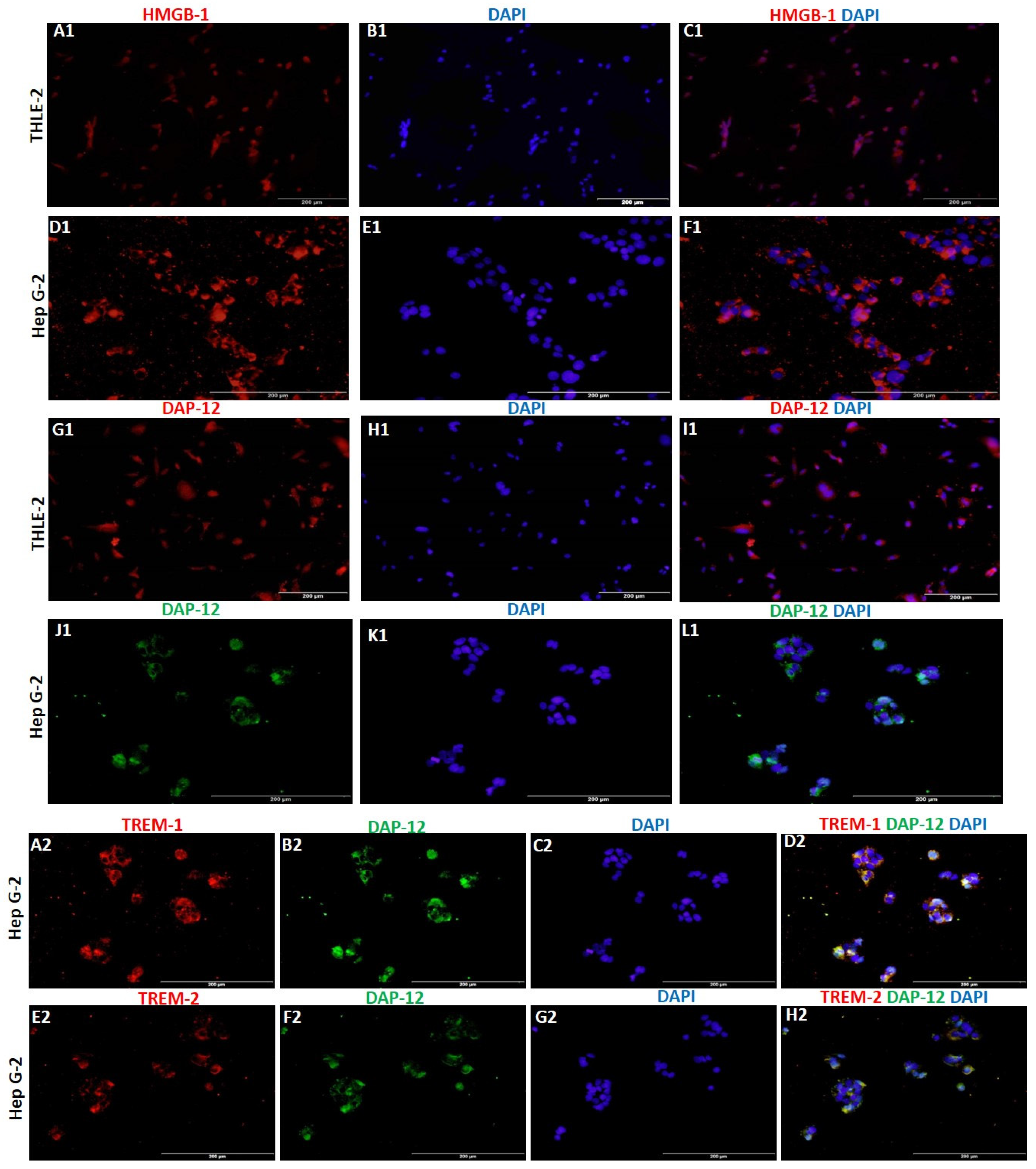 Reports 04 00017 g002 Reports 04 00017 g002