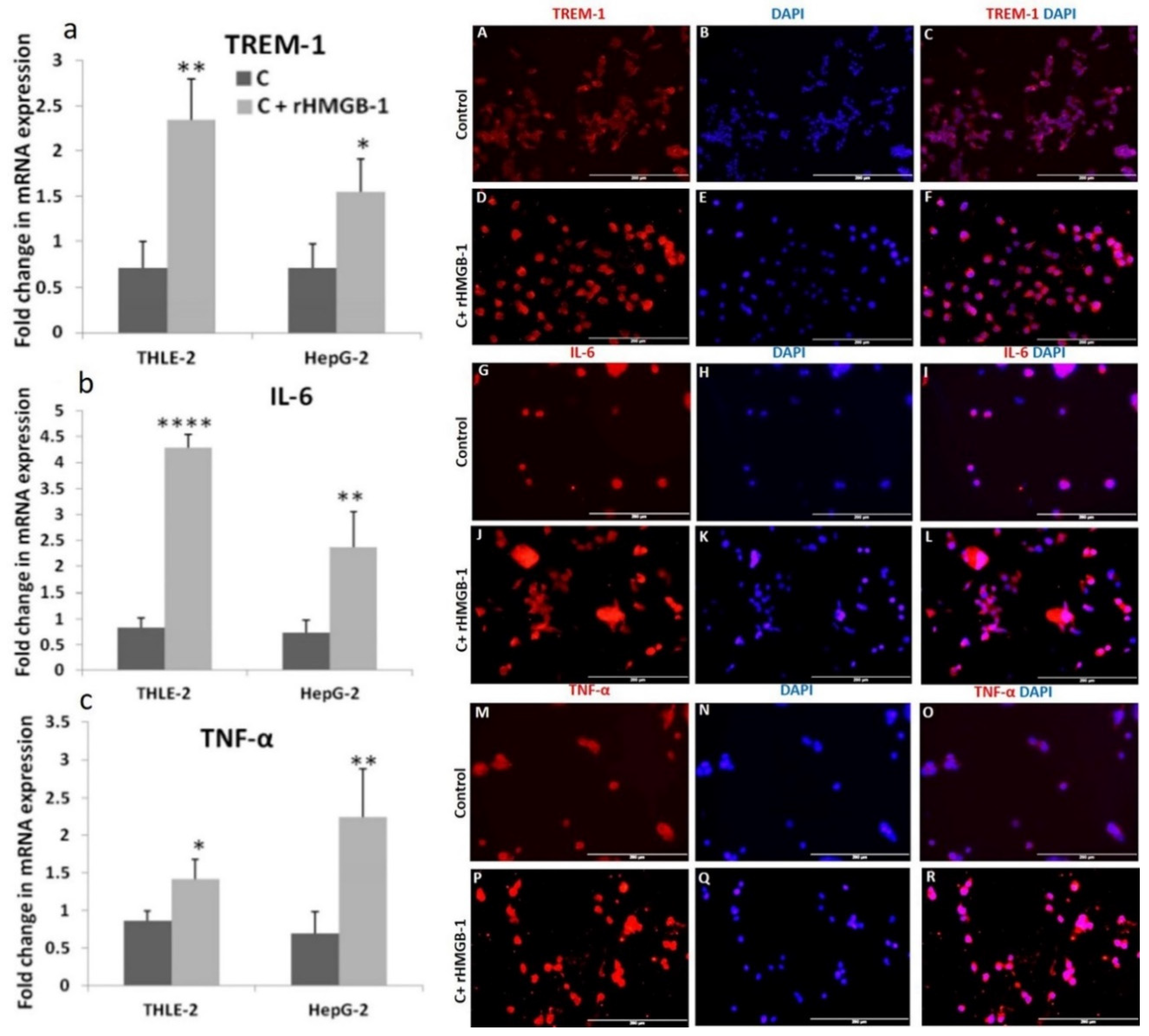 Reports 04 00017 g004 Reports 04 00017 g004
