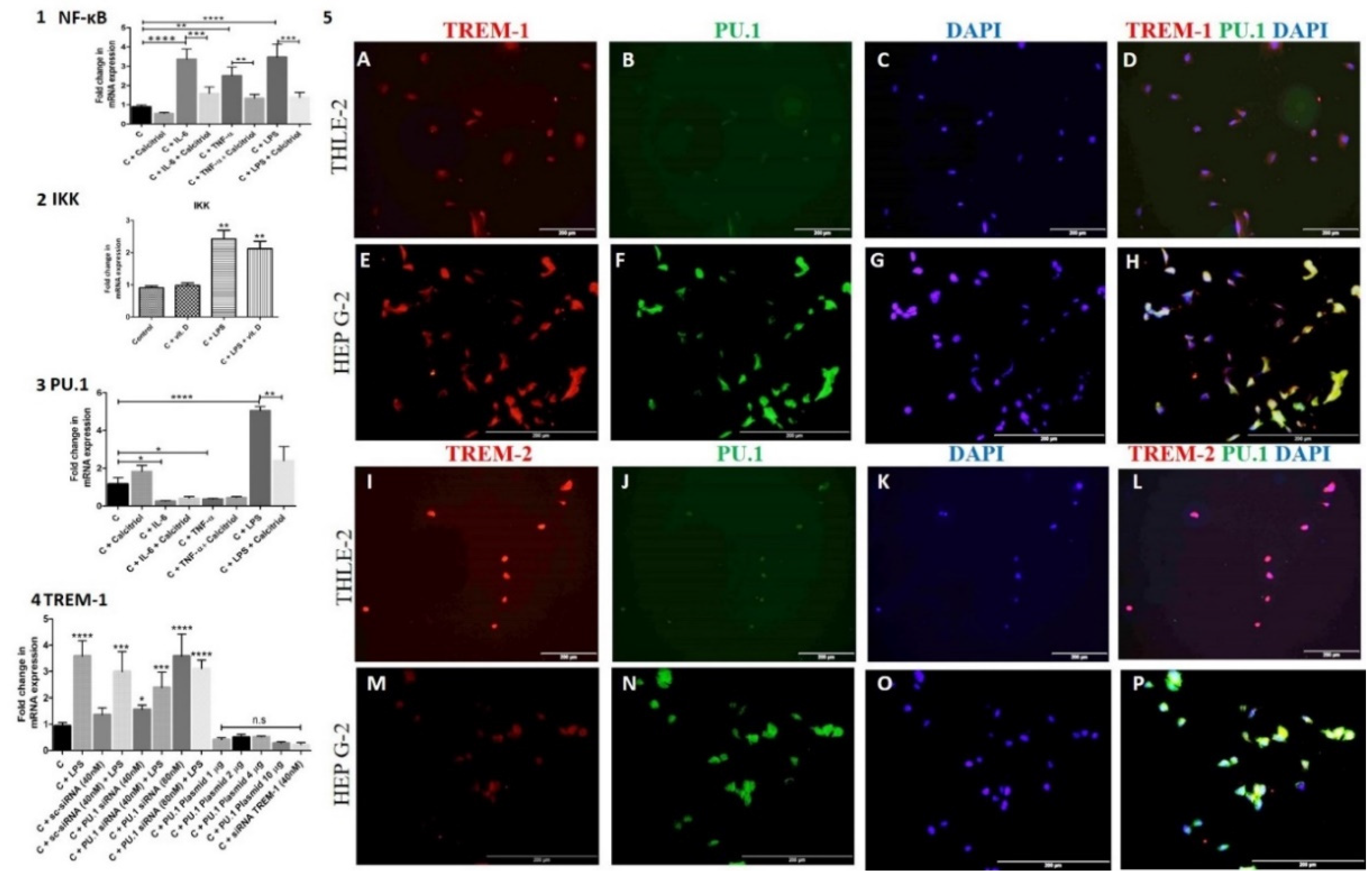 Reports 04 00017 g005 Reports 04 00017 g005