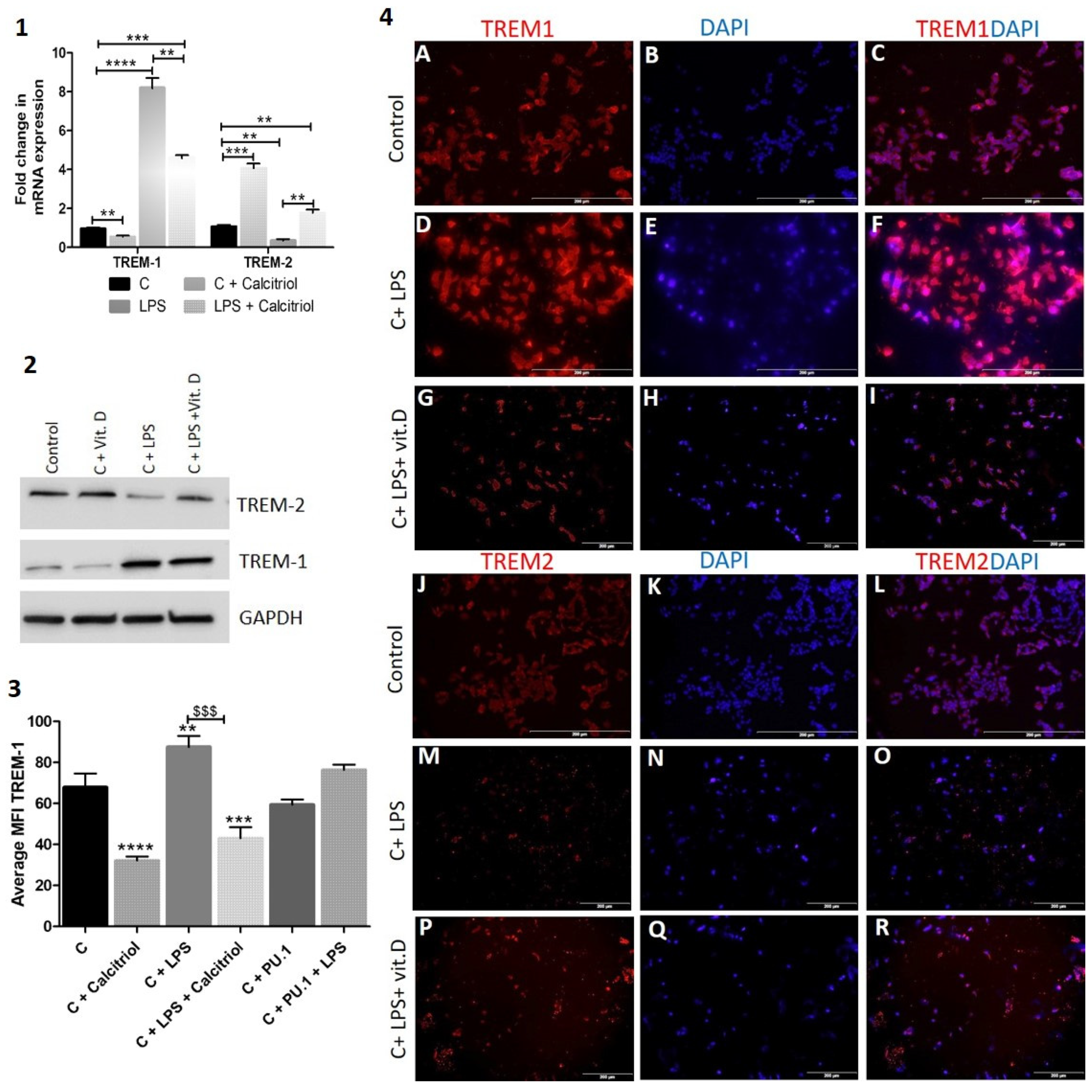 Reports 04 00017 g006 Reports 04 00017 g006