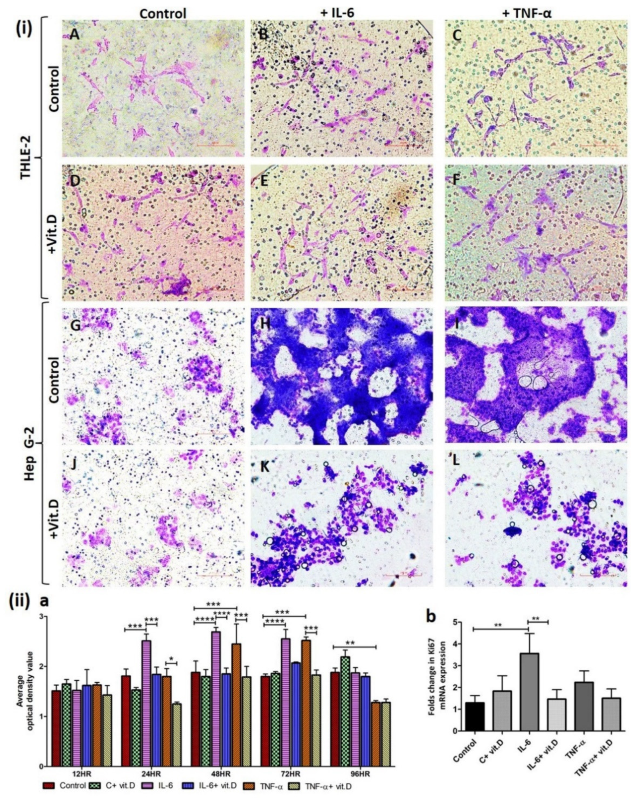 Reports 04 00017 g008 Reports 04 00017 g008