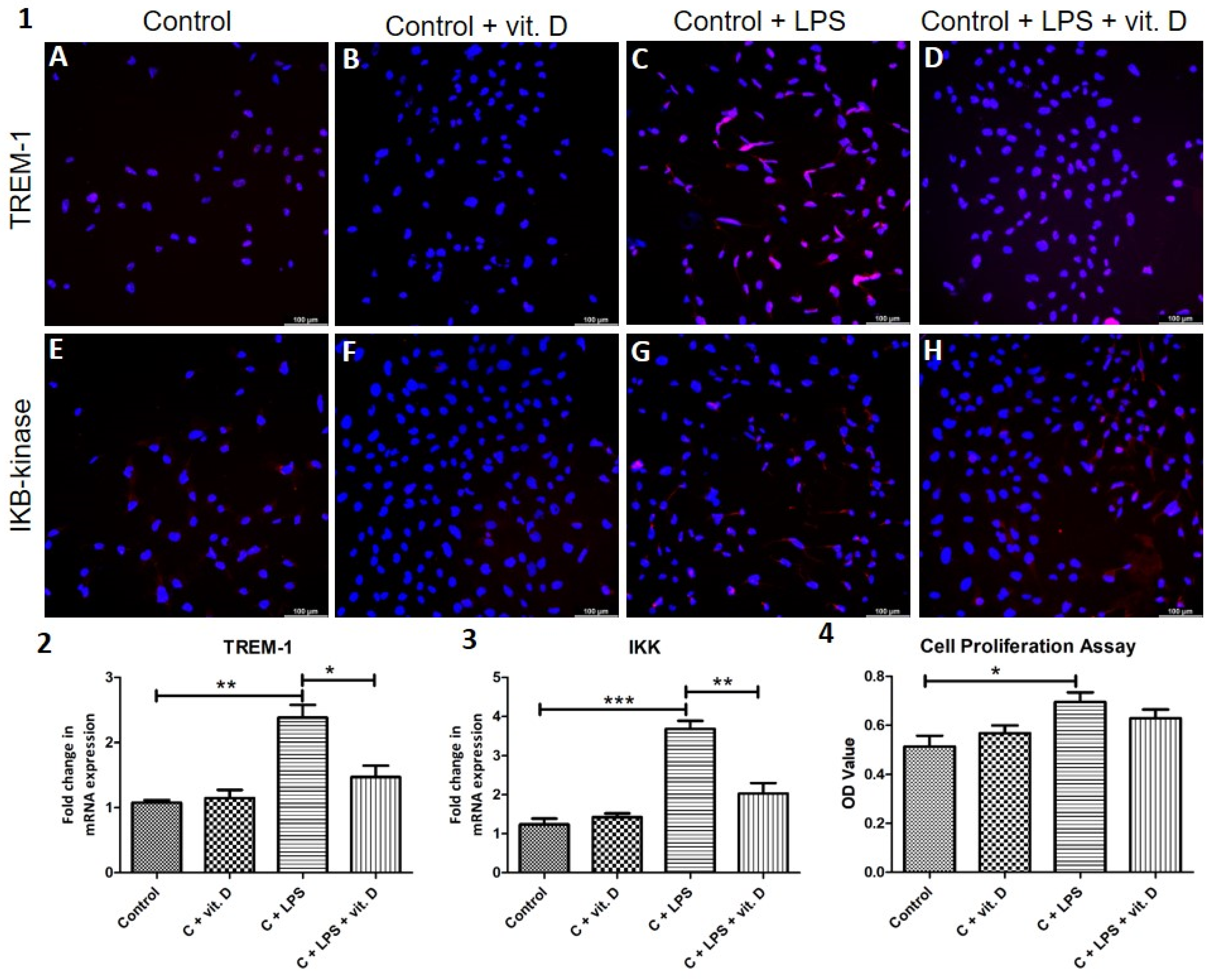 Reports 04 00017 g009 Reports 04 00017 g009