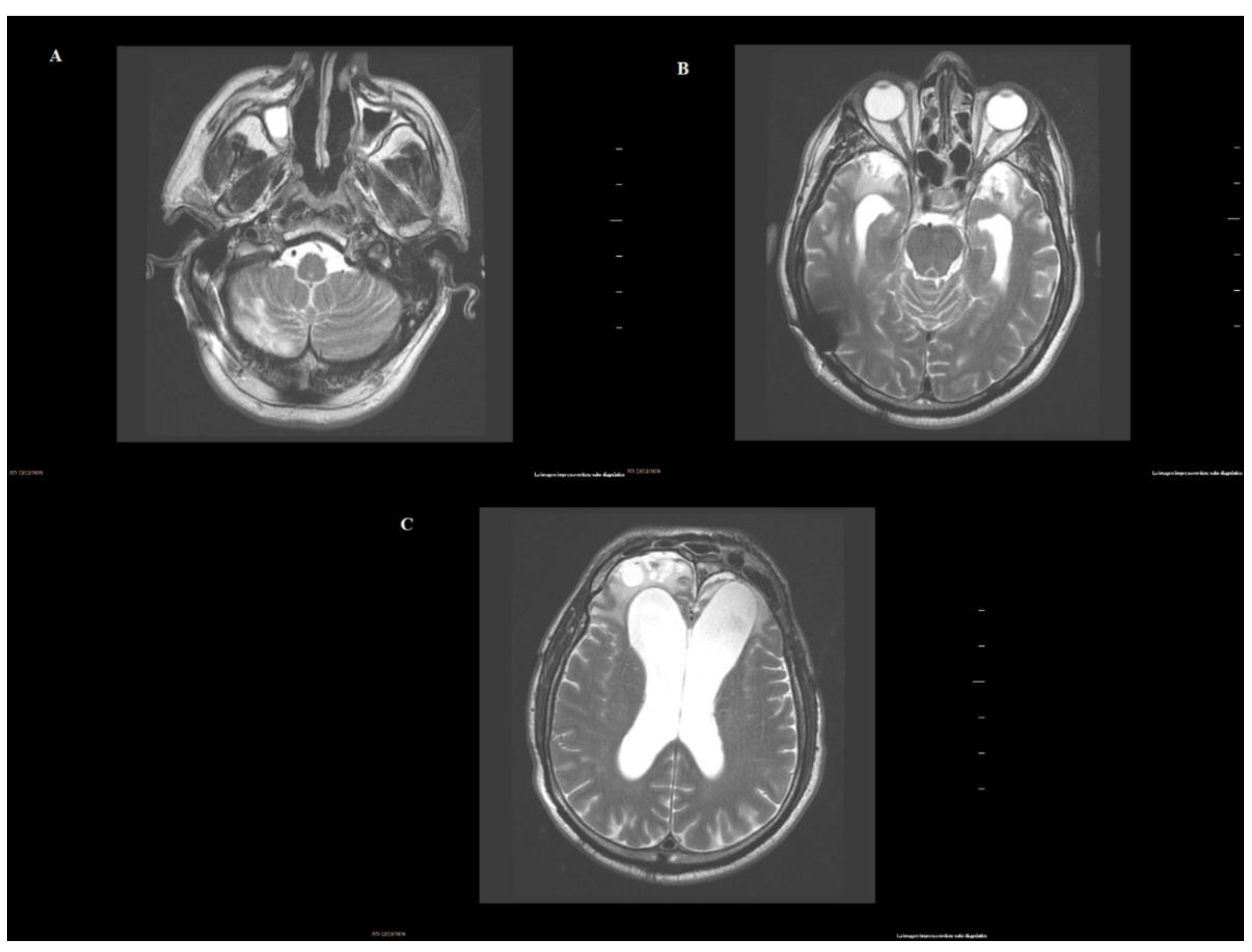 Reports 04 00019 g002