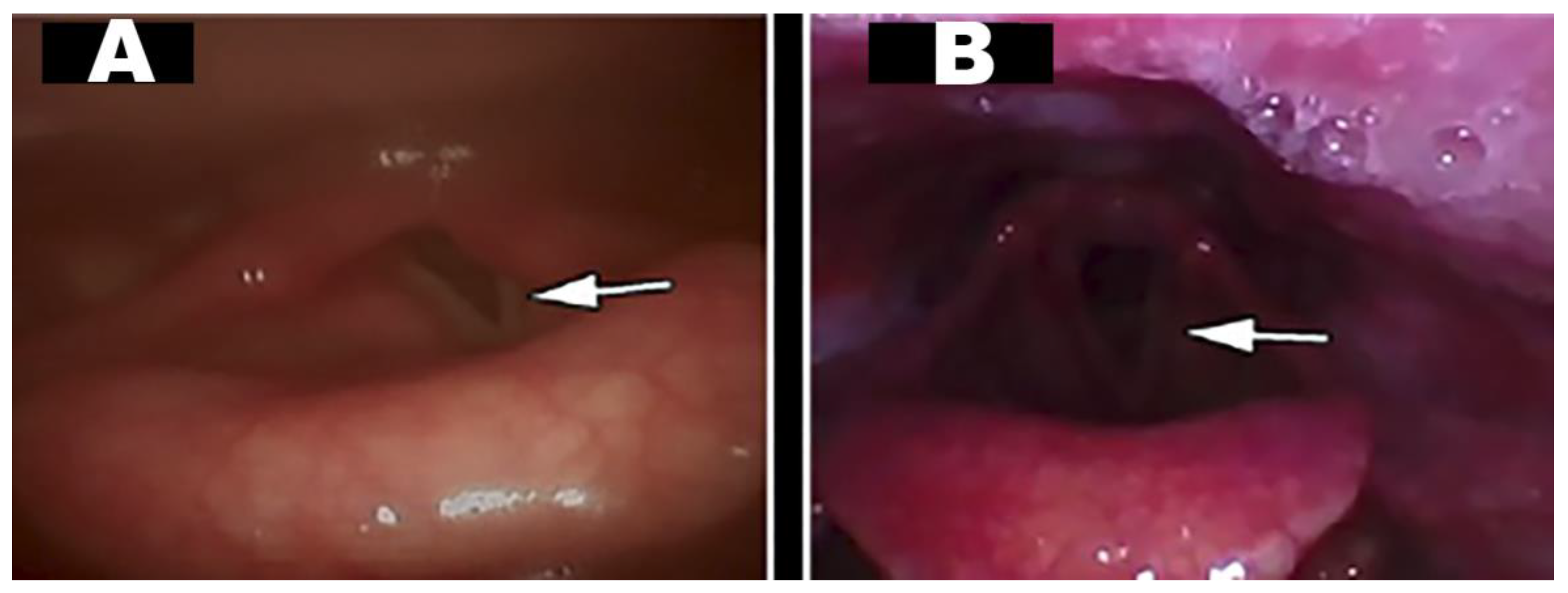 Reports 04 00019 g004