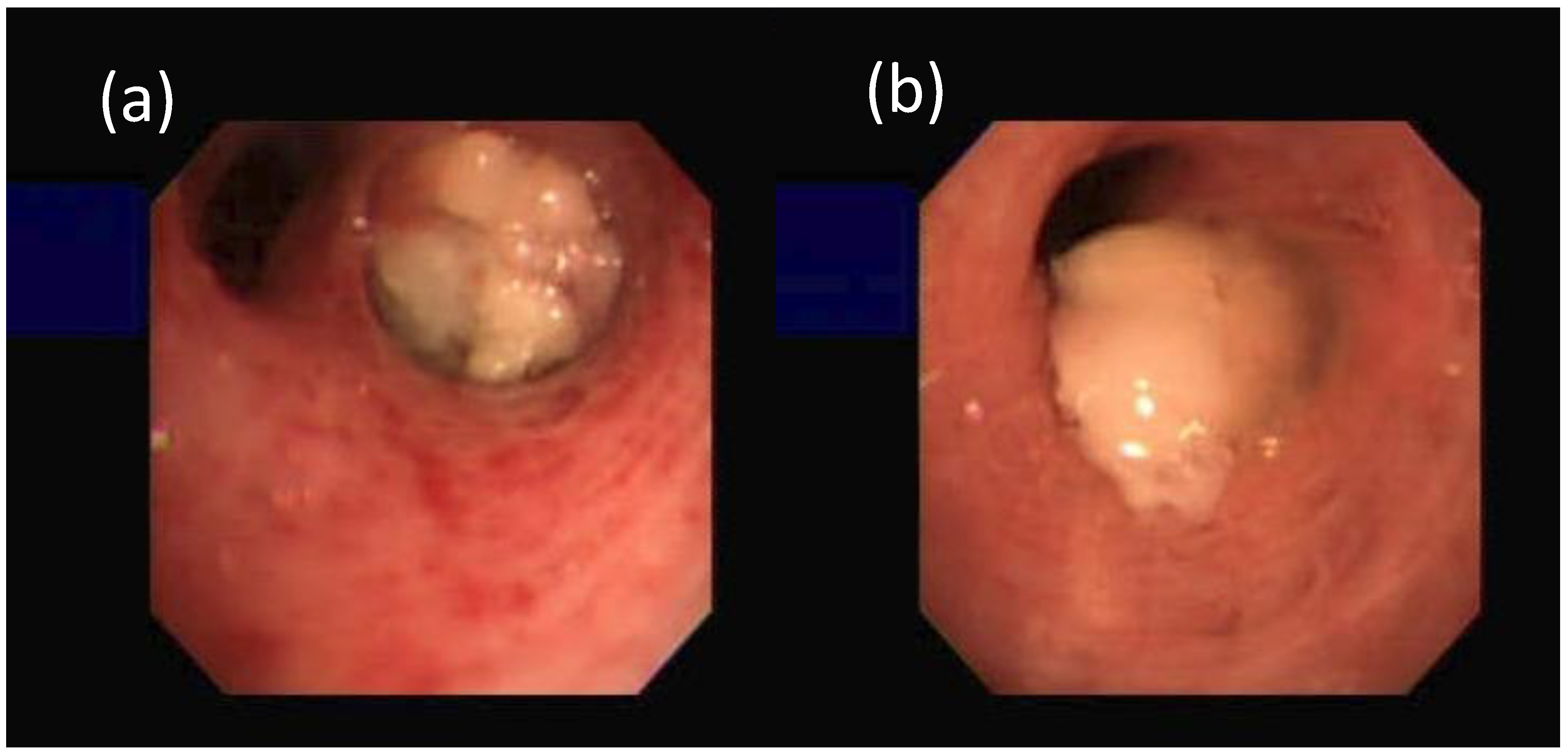 Reports 04 00020 g001 550