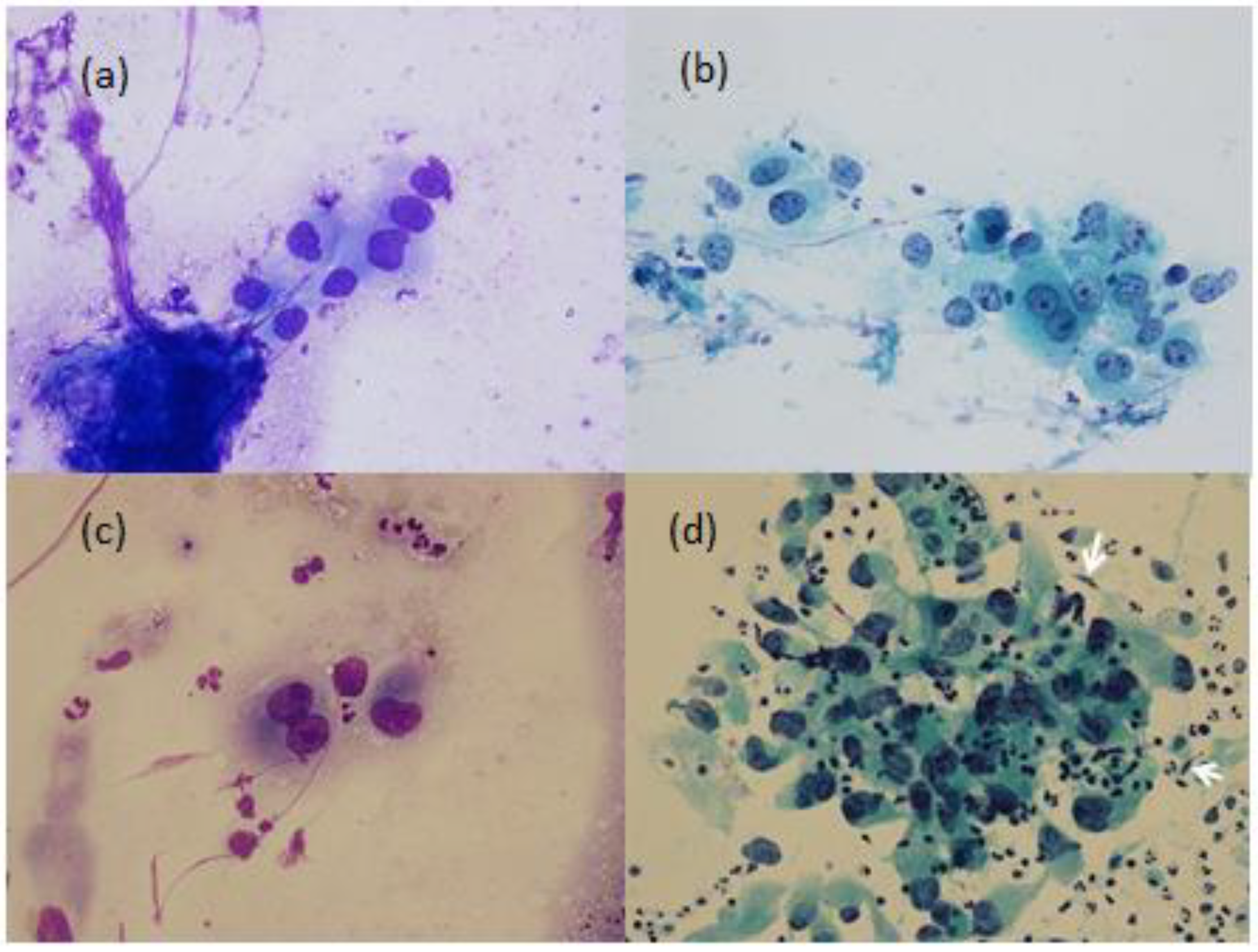 Reports 04 00020 g002 550