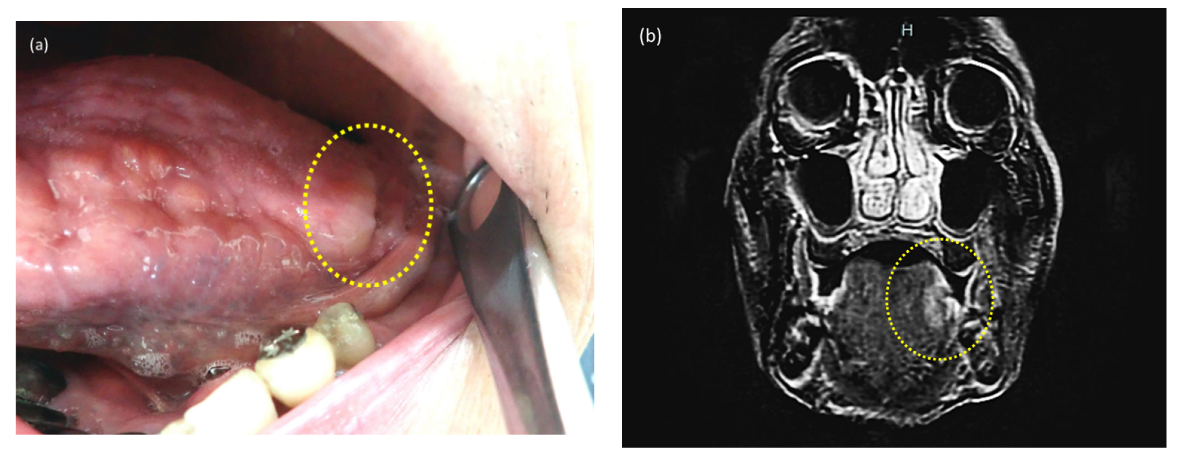 Reports 04 00024 g001 Reports 04 00024 g001