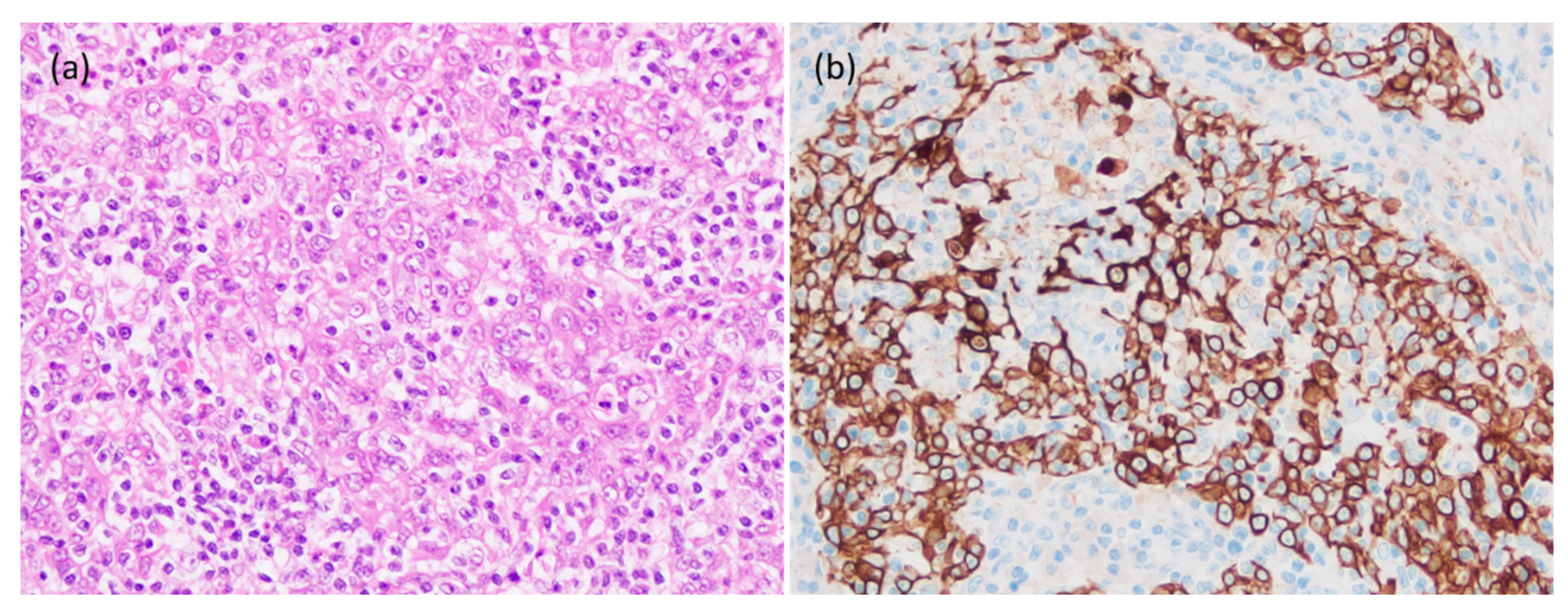 Reports 04 00024 g004 Reports 04 00024 g004