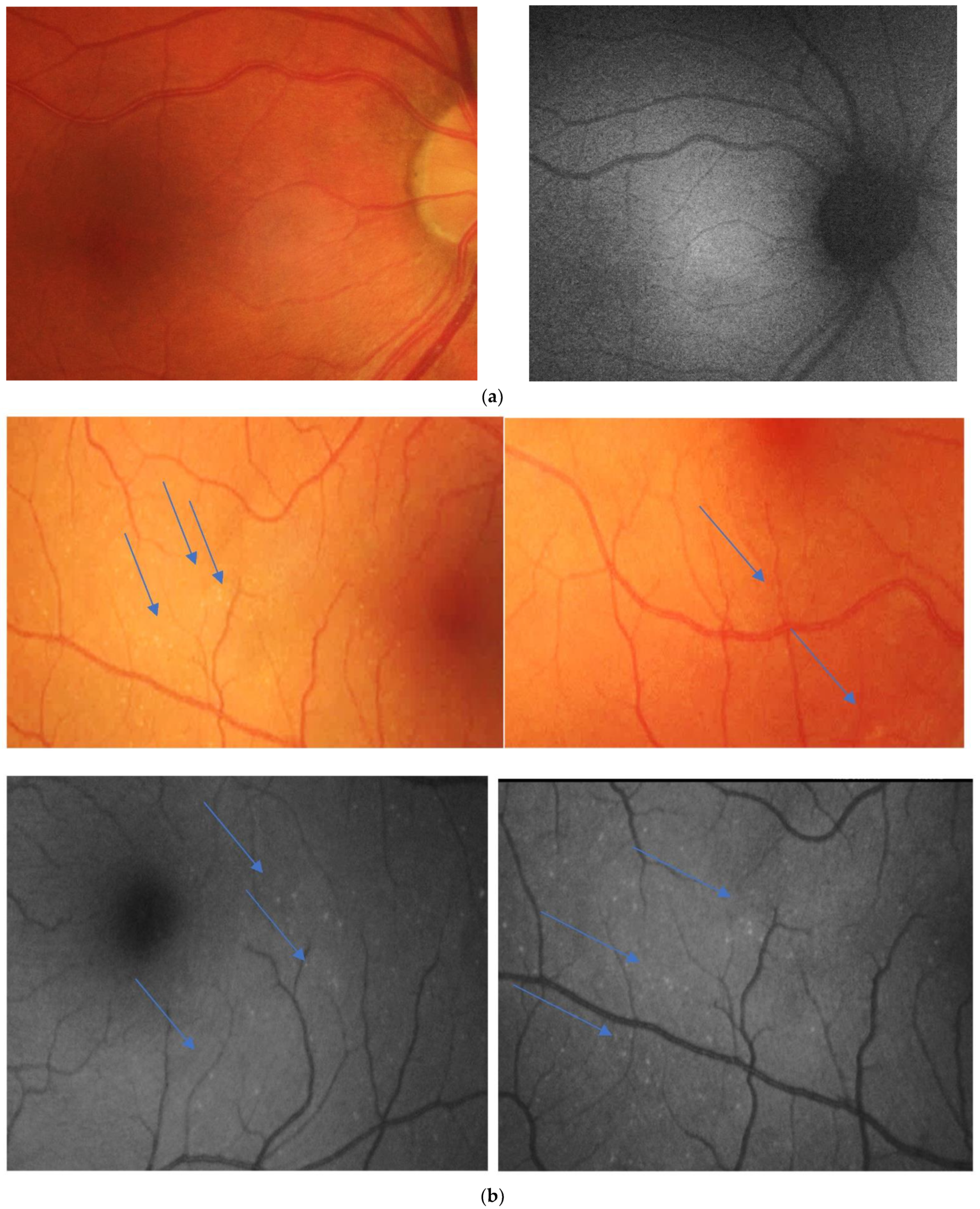 Reports 04 00026 g001