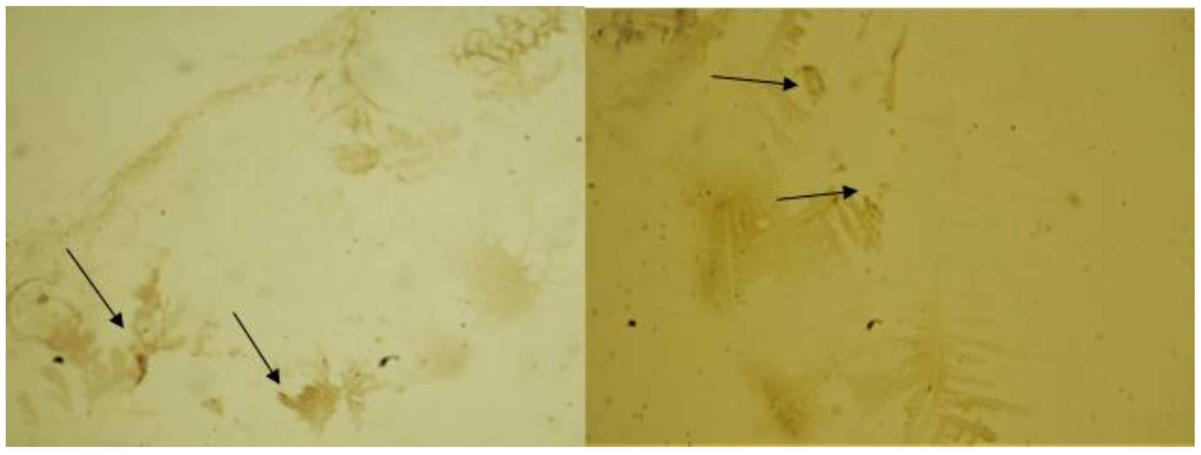 Reports 04 00026 g002