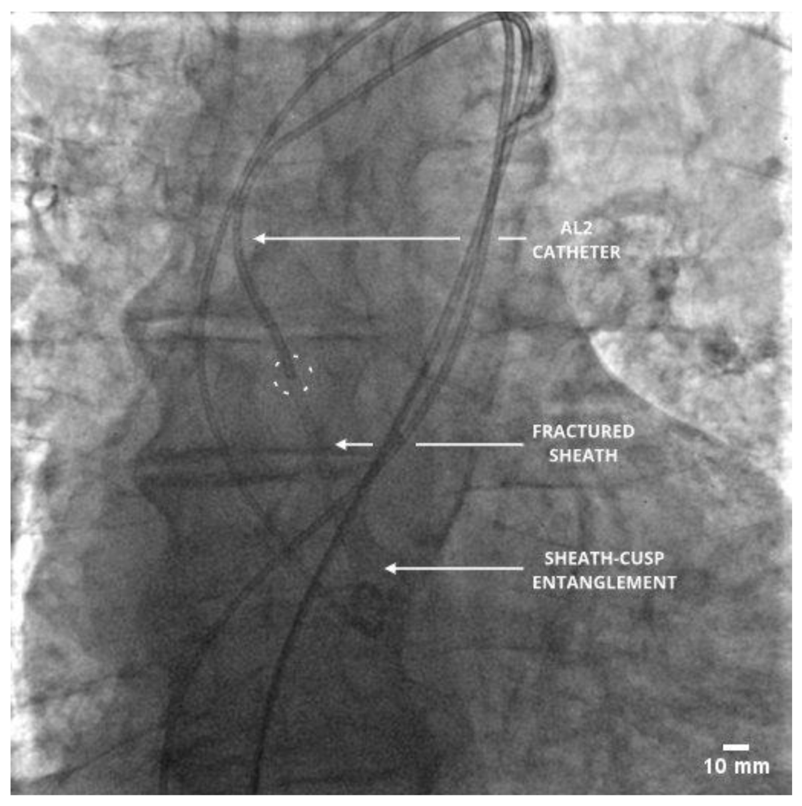 Reports 04 00034 g002