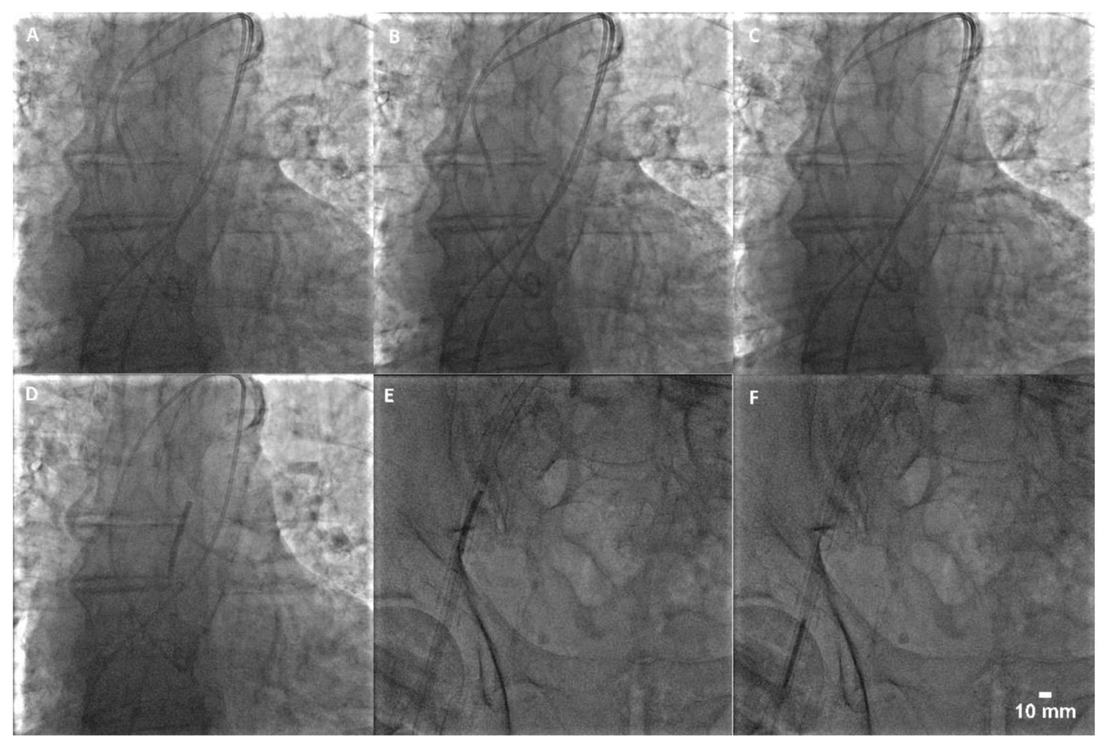 Reports 04 00034 g003