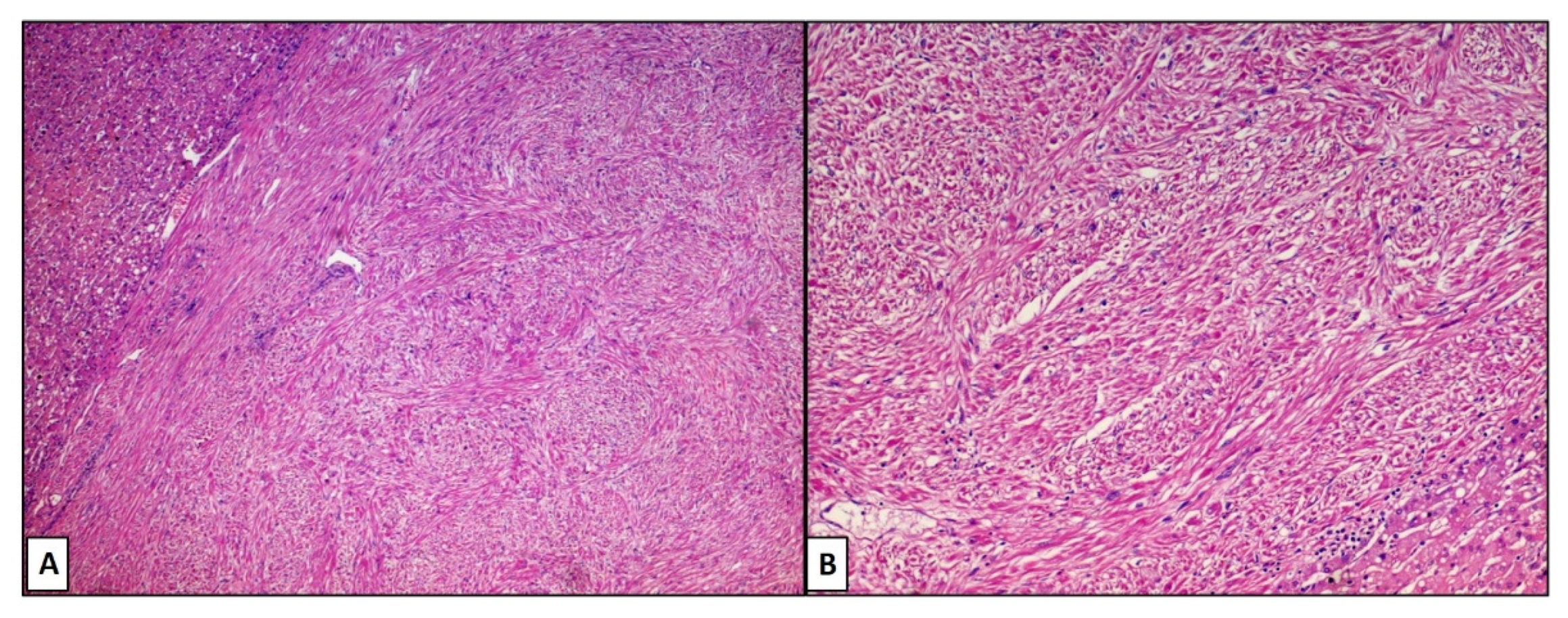 Reports 05 00002 g002 Reports 05 00002 g002