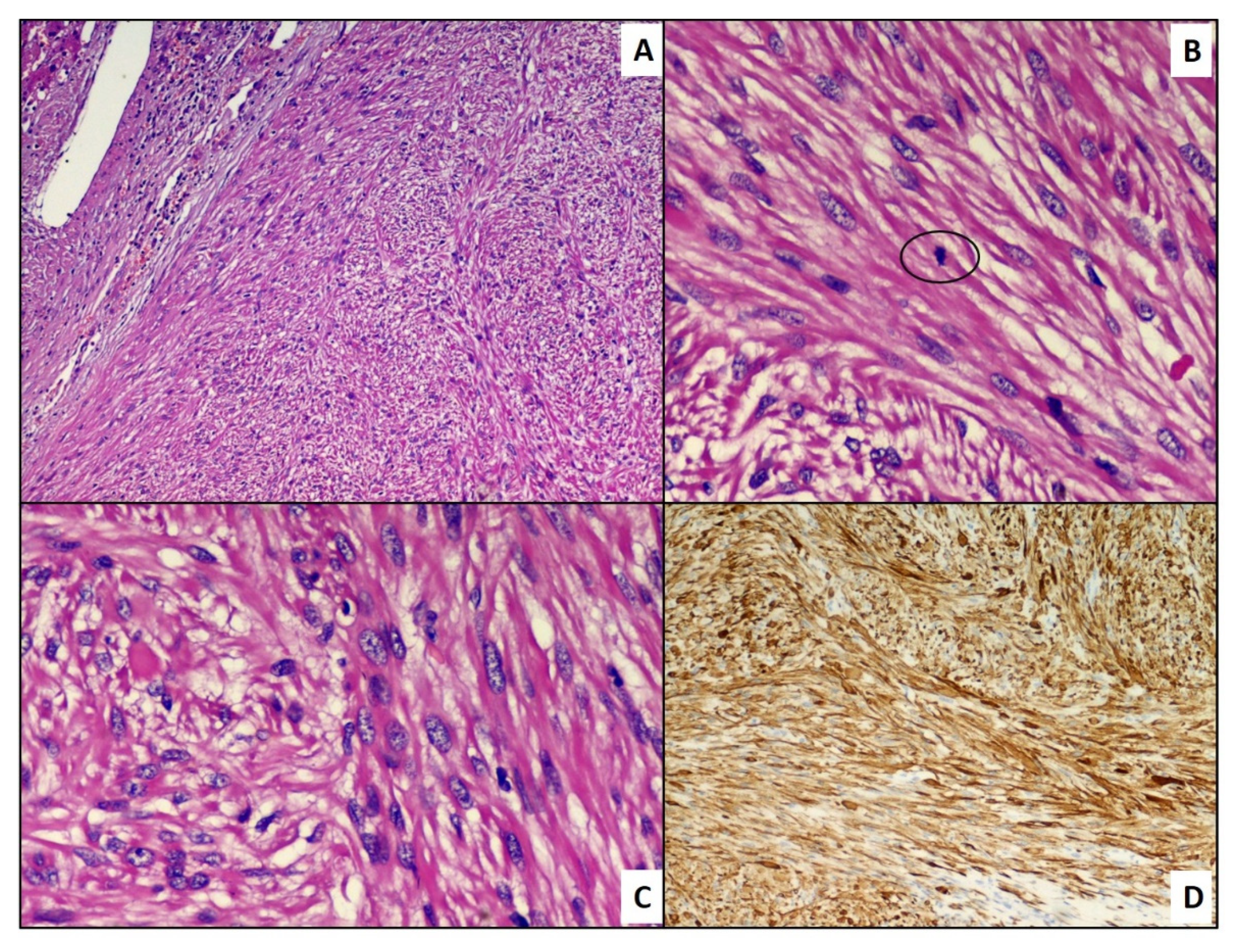 Reports 05 00002 g003 Reports 05 00002 g003