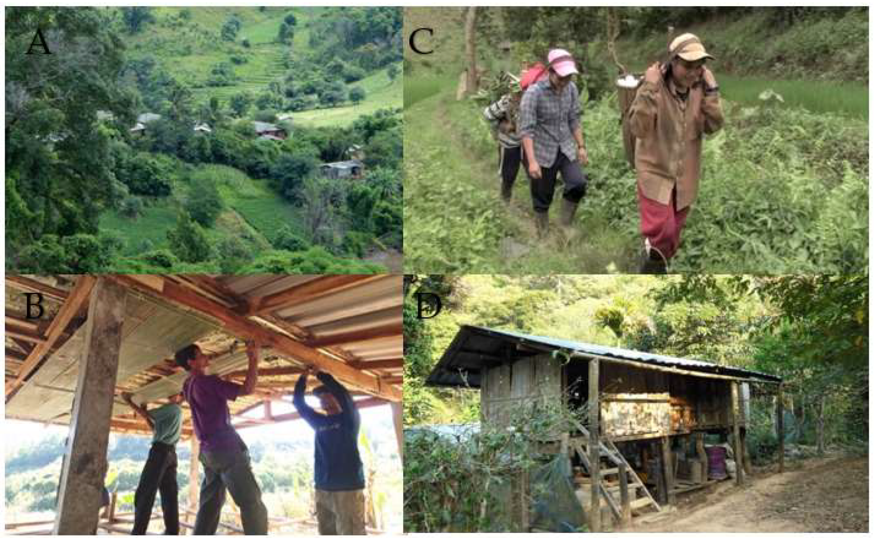 Reports 05 00007 g002