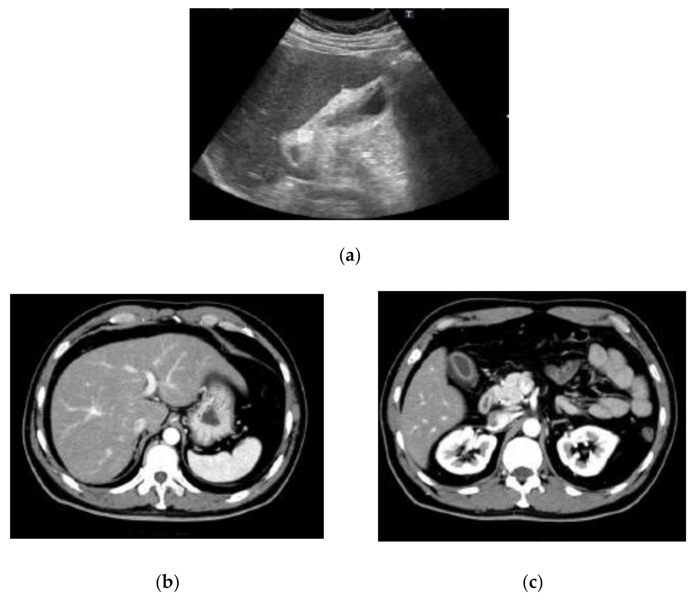 Reports 05 00008 g001a