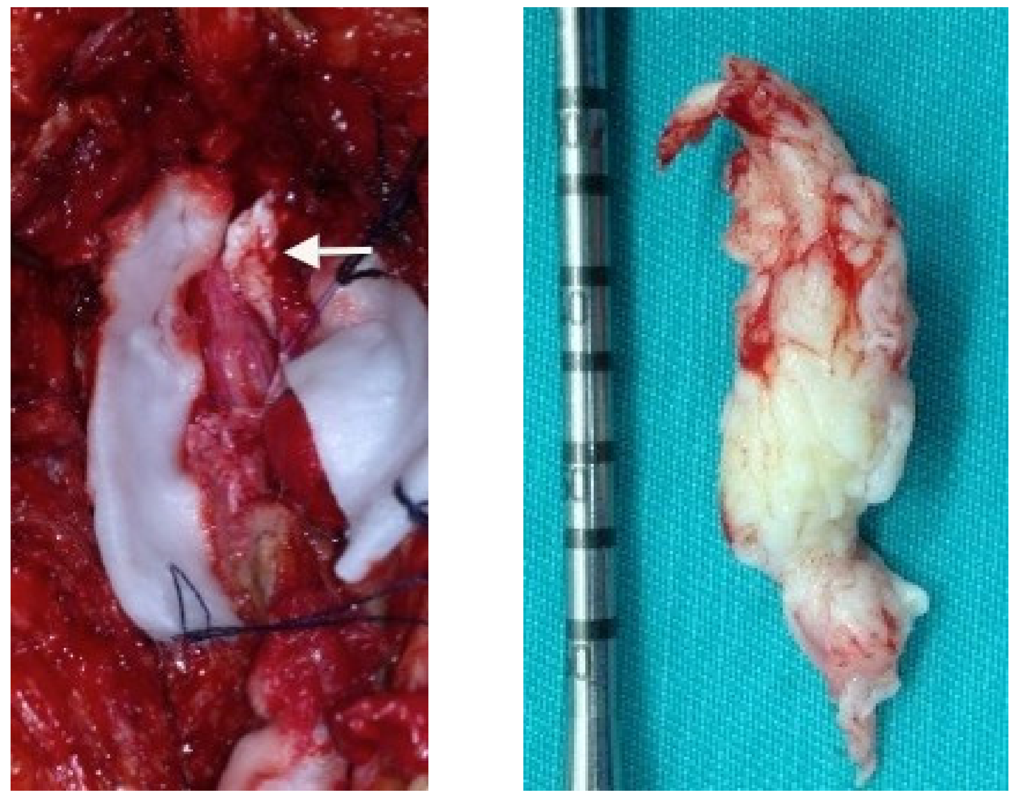 Reports 05 00009 g002