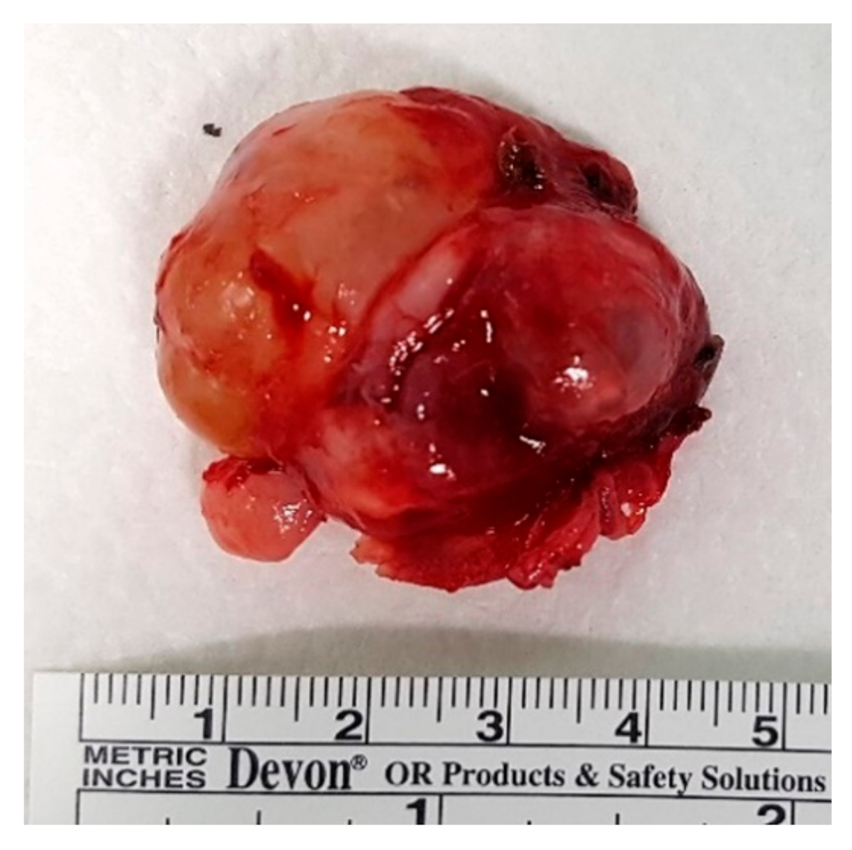 Reports 05 00010 g005