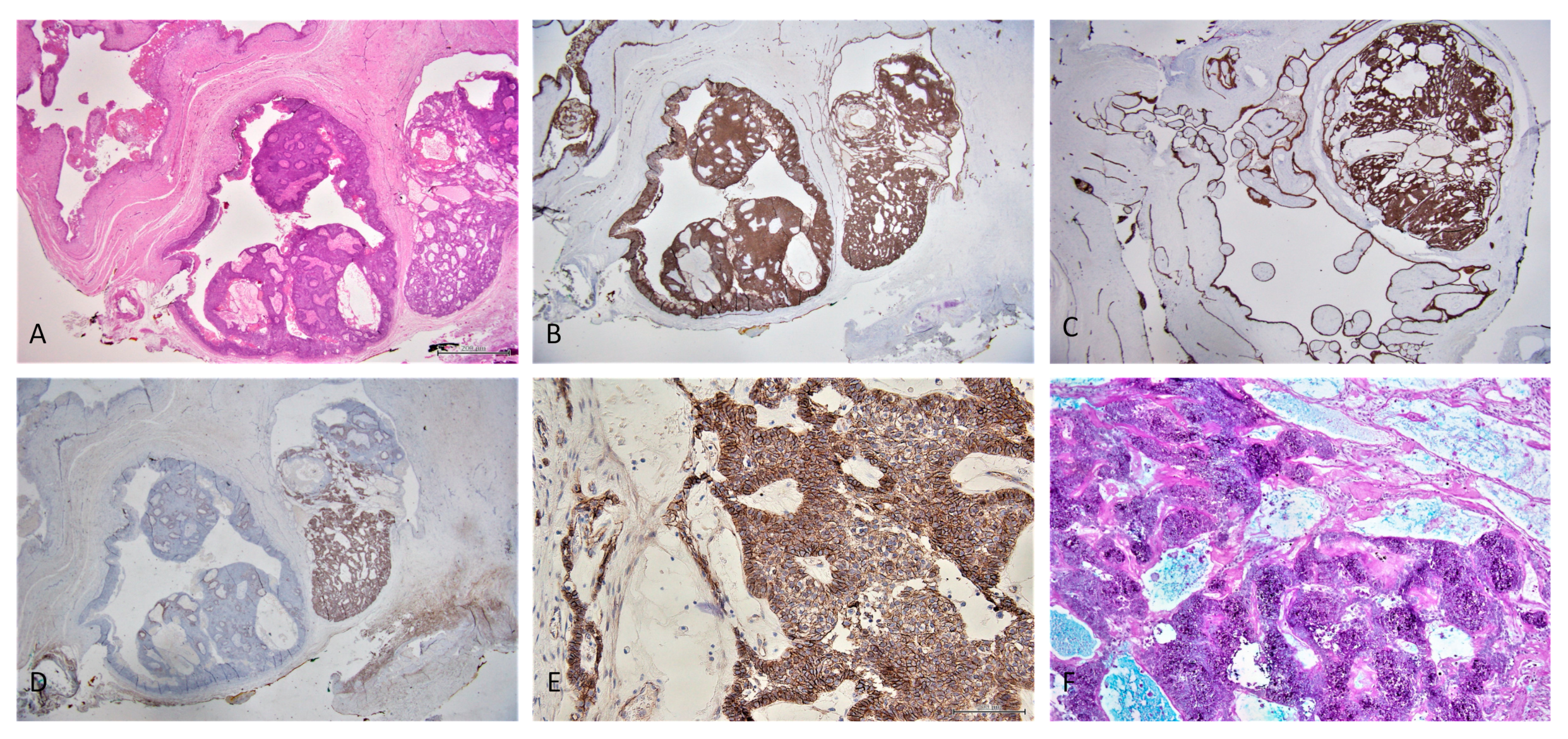 Reports 05 00010 g006