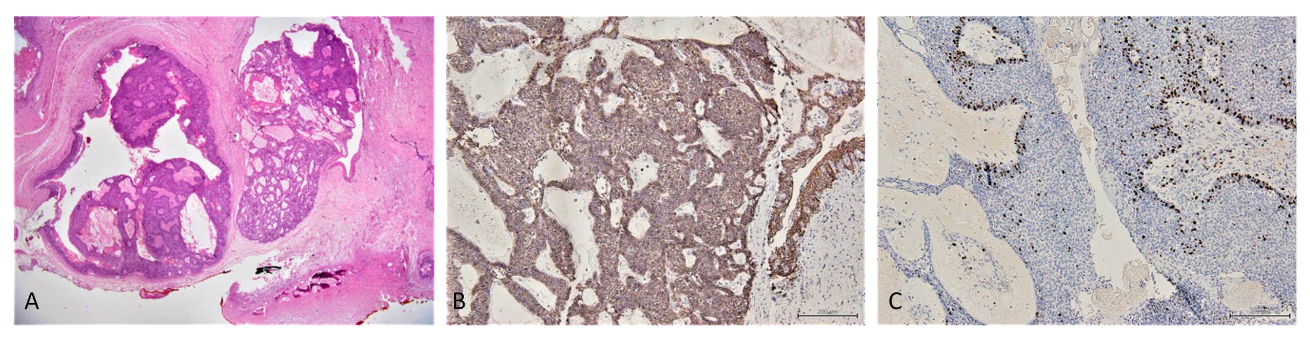 Reports 05 00010 g007