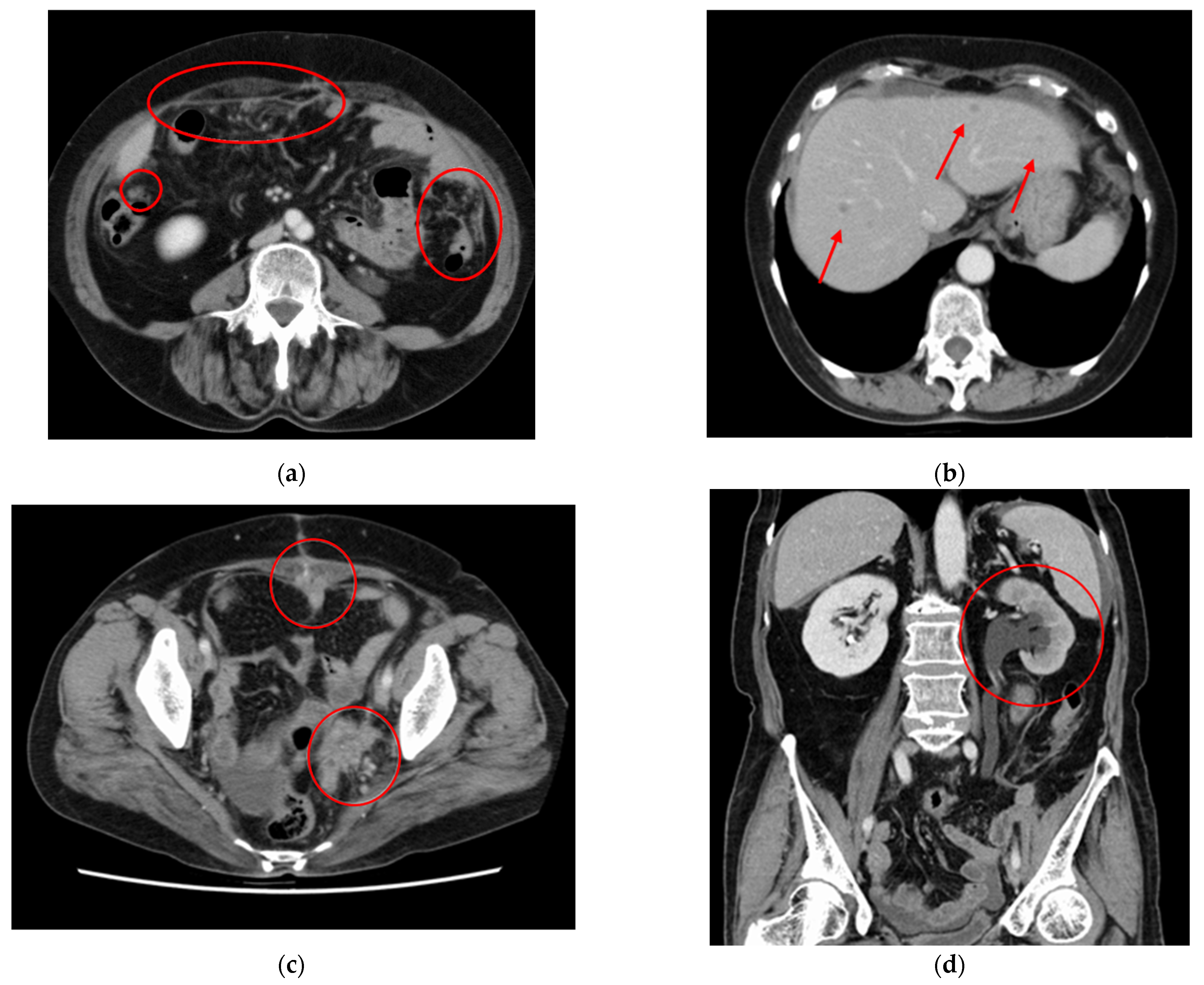 Reports 05 00015 g004 550