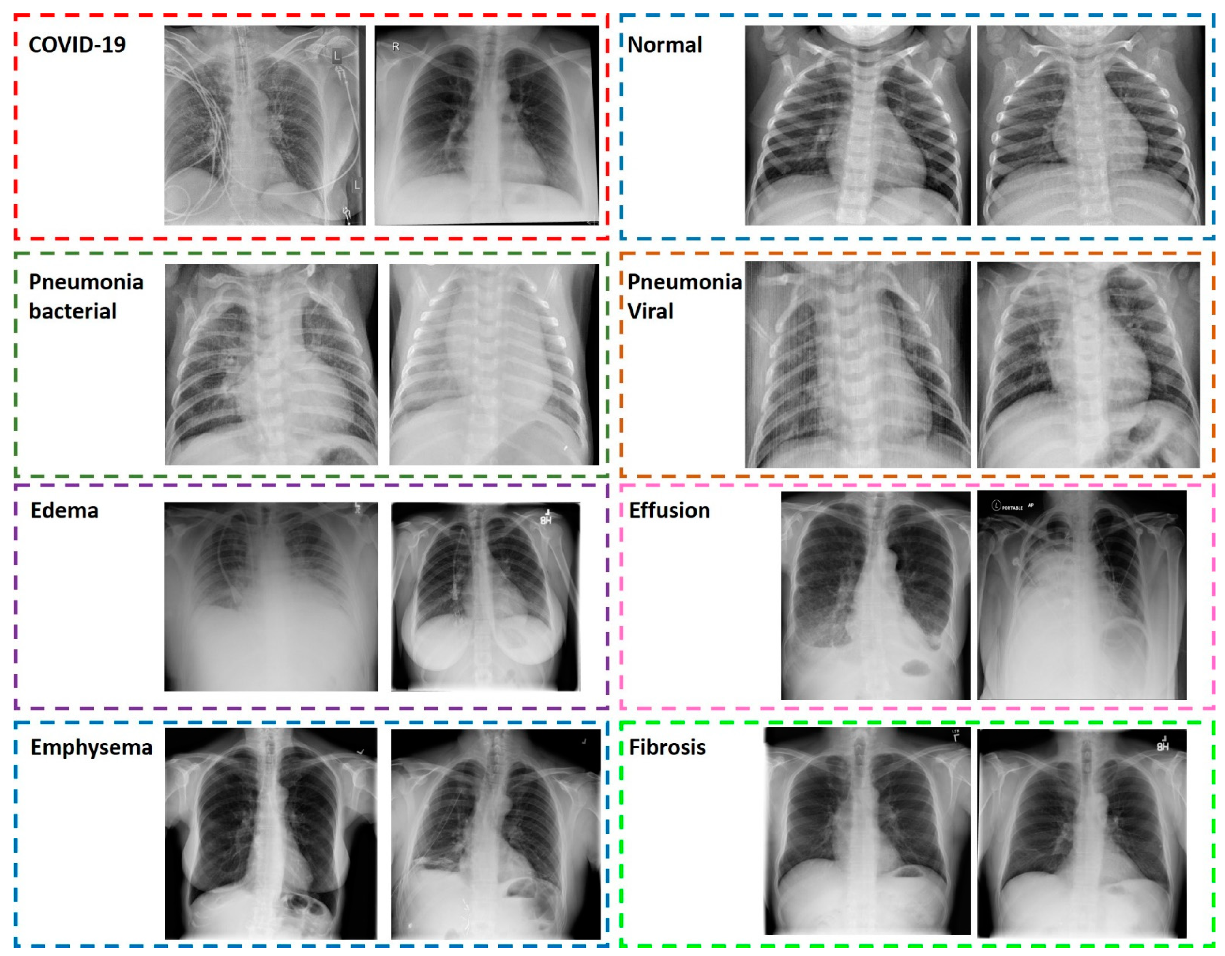 Reports 05 00020 g001